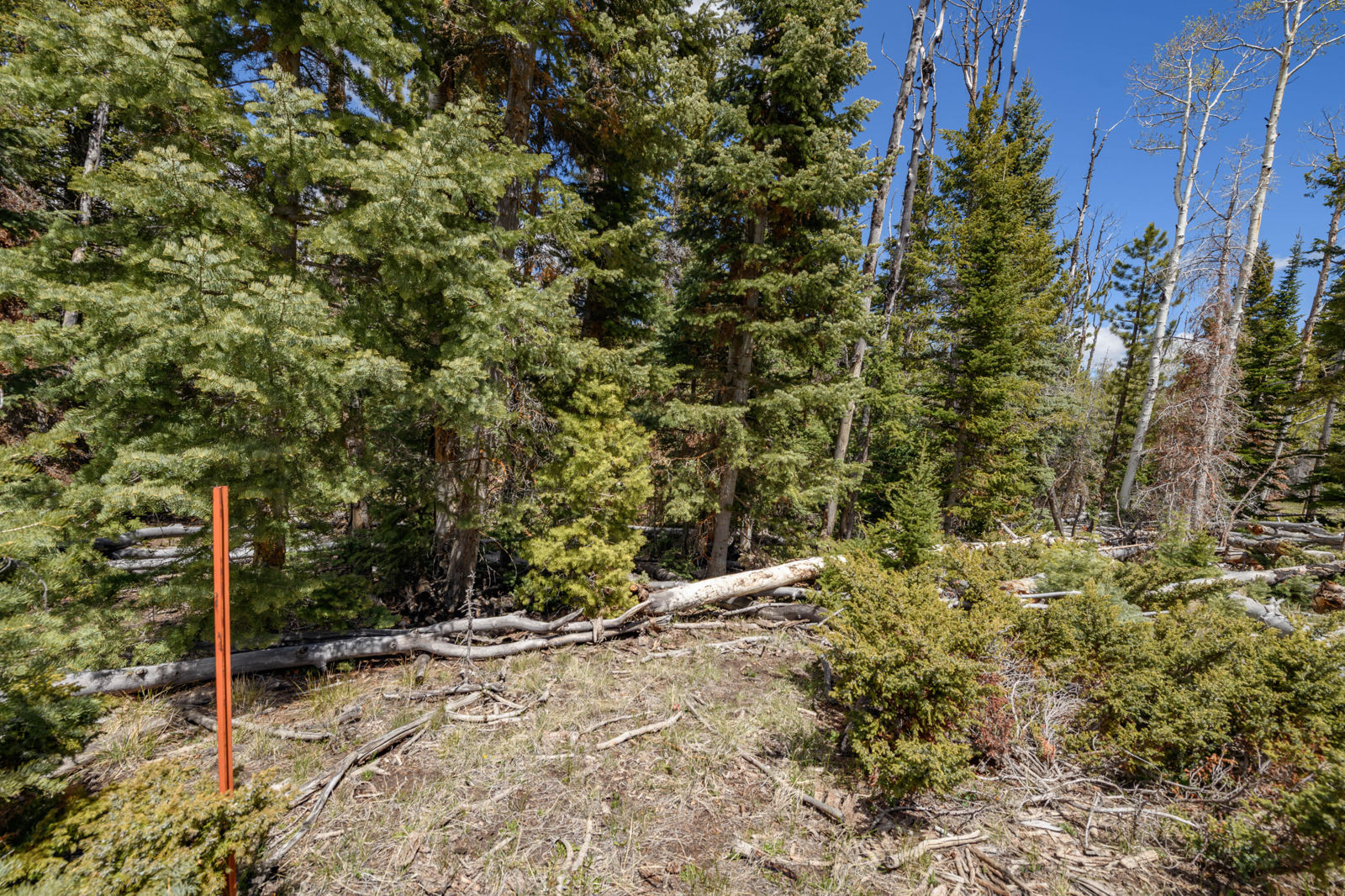 Quakie LN, #17, Panguitch Lake, photo 8 of 18