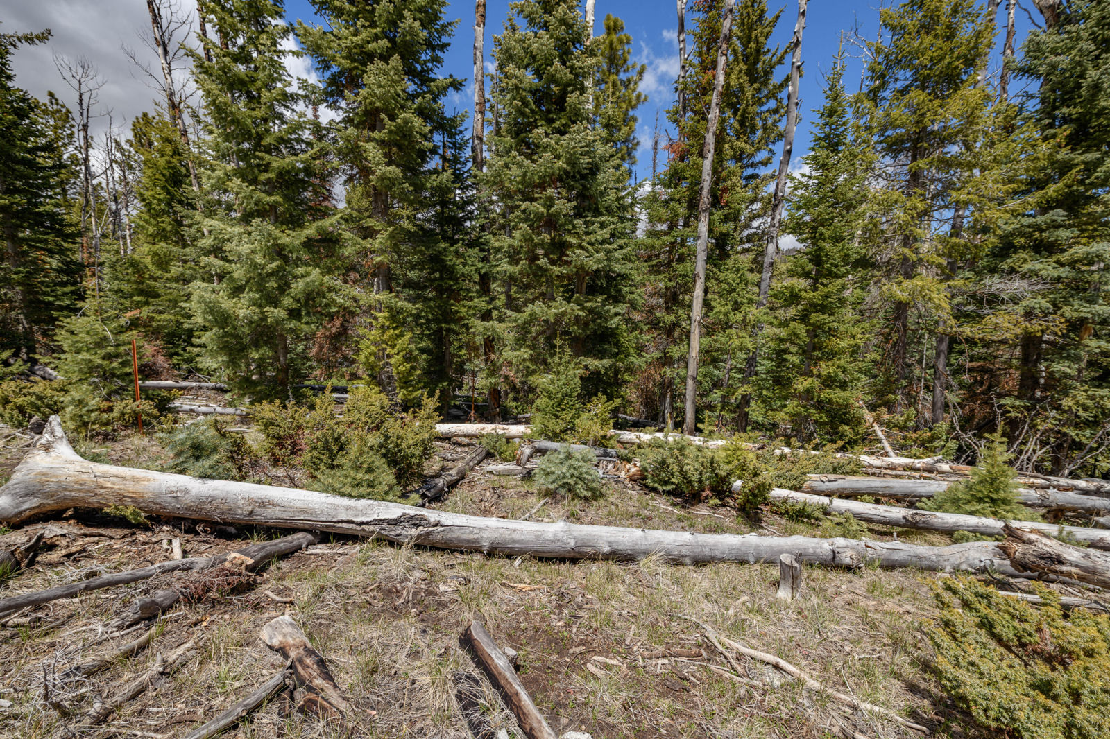 Quakie LN, #17, Panguitch Lake, photo 10 of 18