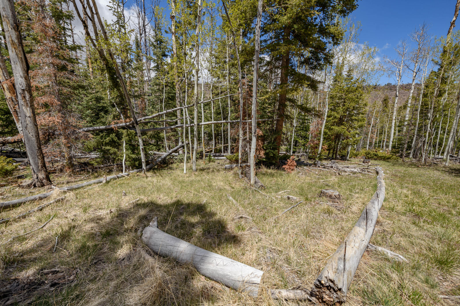 Quakie LN, #17, Panguitch Lake, photo 13 of 18