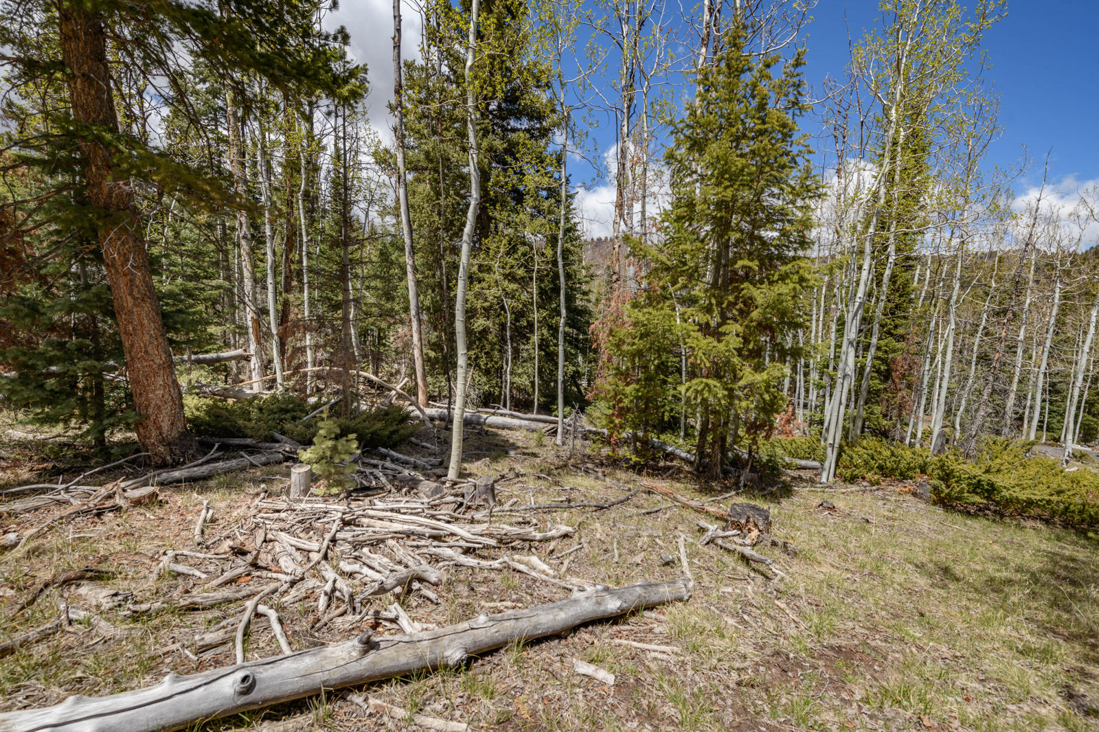 Quakie LN, #17, Panguitch Lake, photo 14 of 18