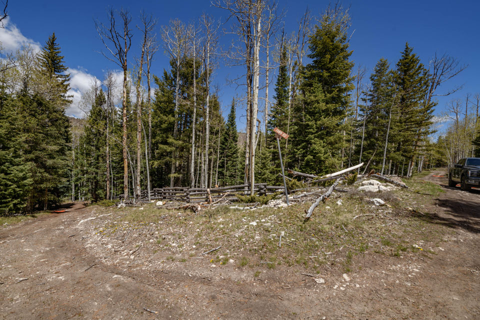 Fawn RD, #31, Panguitch Lake, photo 2