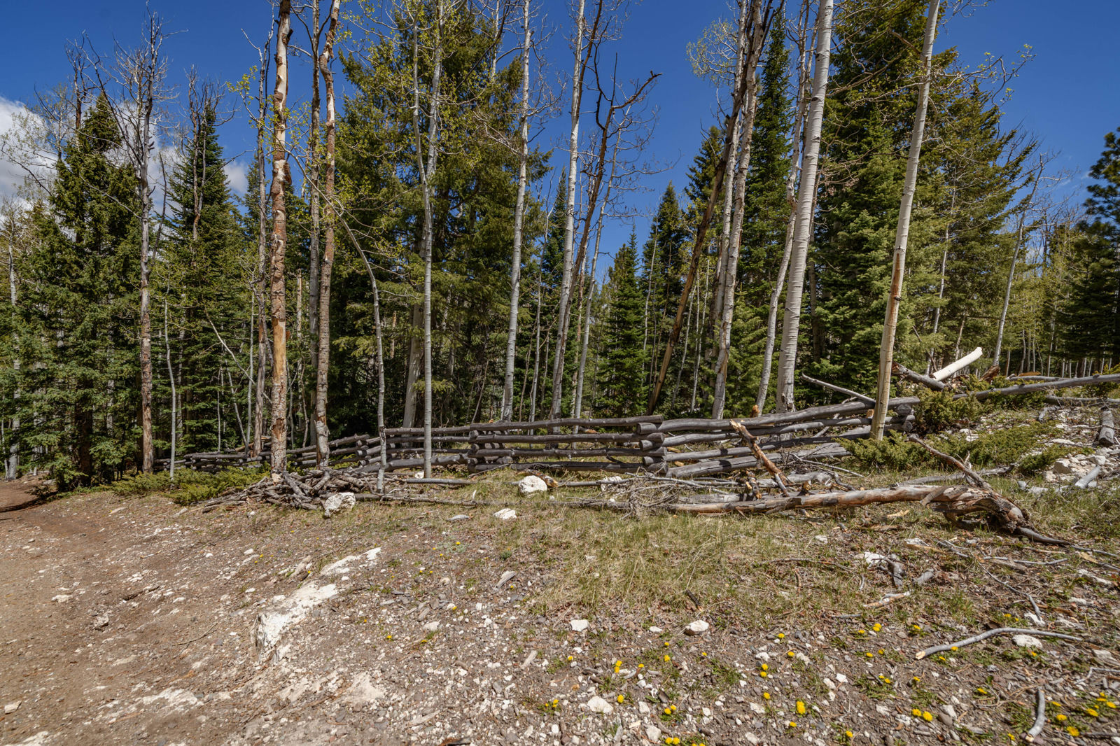 Fawn RD, #31, Panguitch Lake, photo 3 of 28