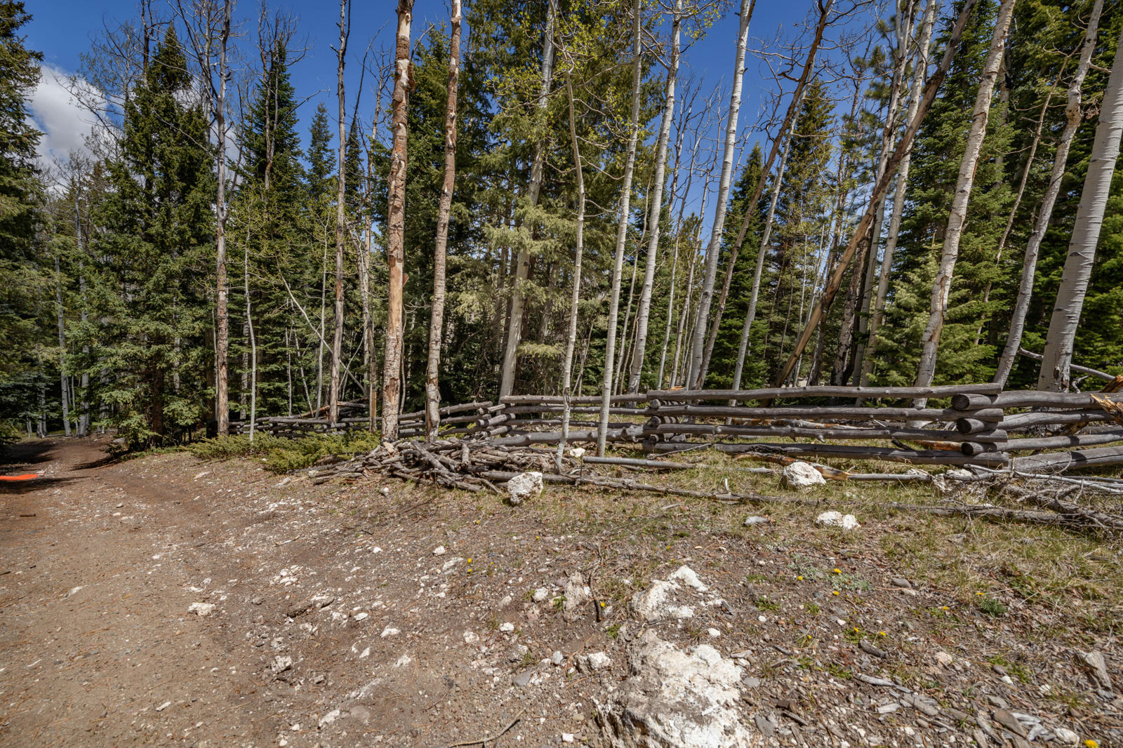 Fawn RD, #31, Panguitch Lake, photo 4 of 28