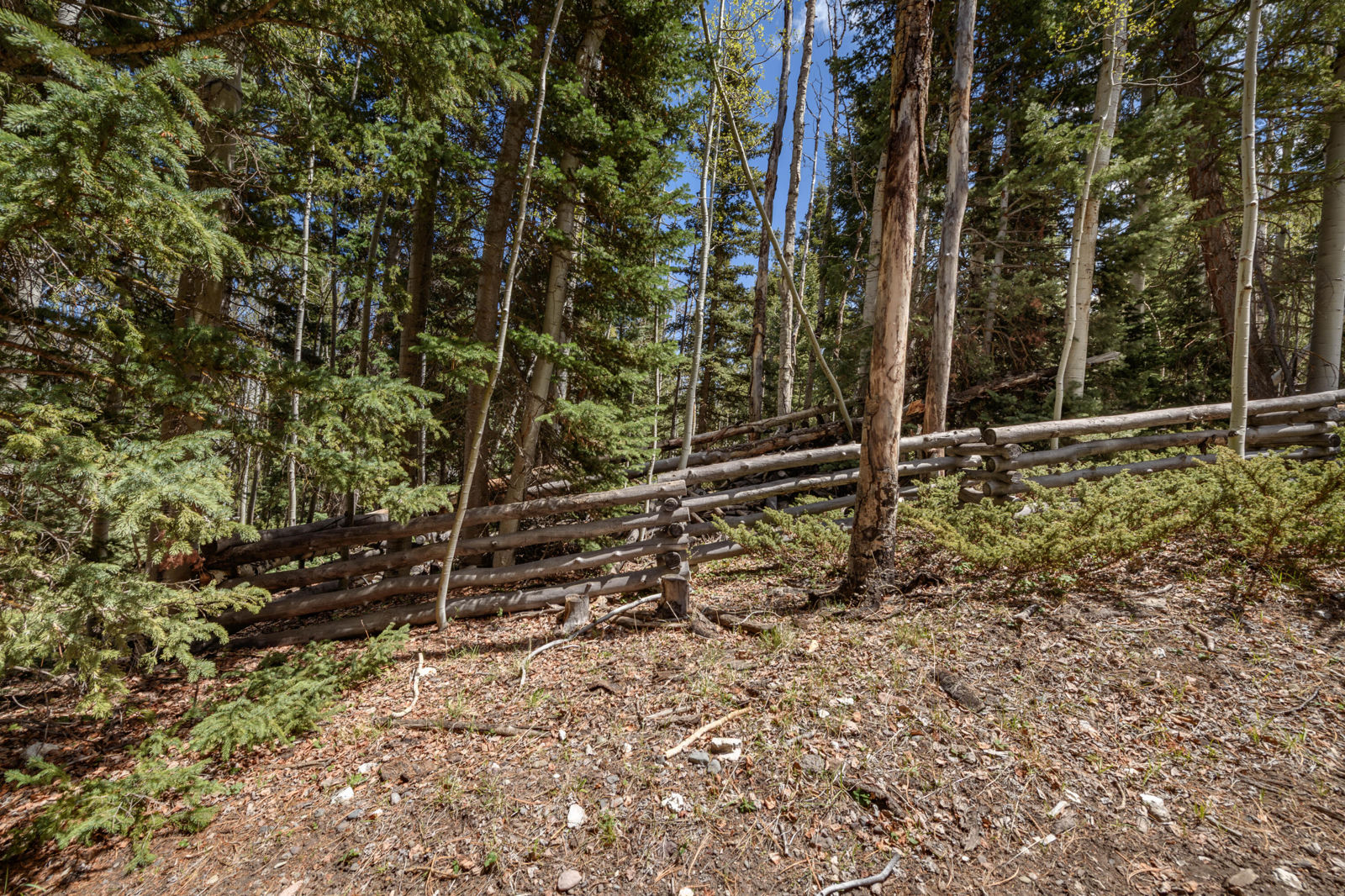 Fawn RD, #31, Panguitch Lake, photo 5 of 28
