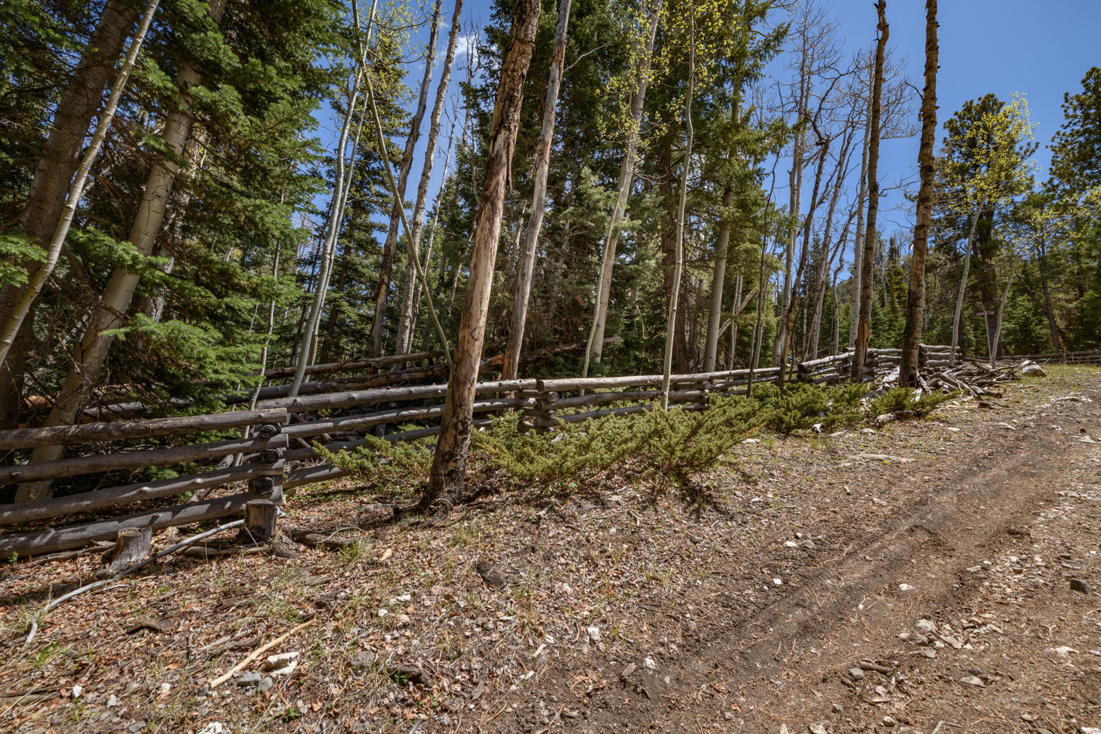 Fawn RD, #31, Panguitch Lake, photo 6 of 28