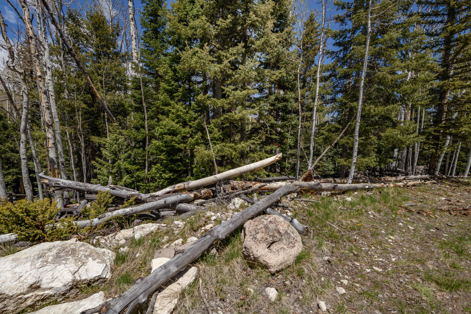 Fawn RD, #31, Panguitch Lake, photo 8 of 28