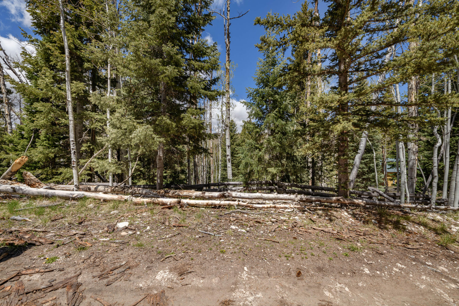 Fawn RD, #31, Panguitch Lake, photo 9 of 28