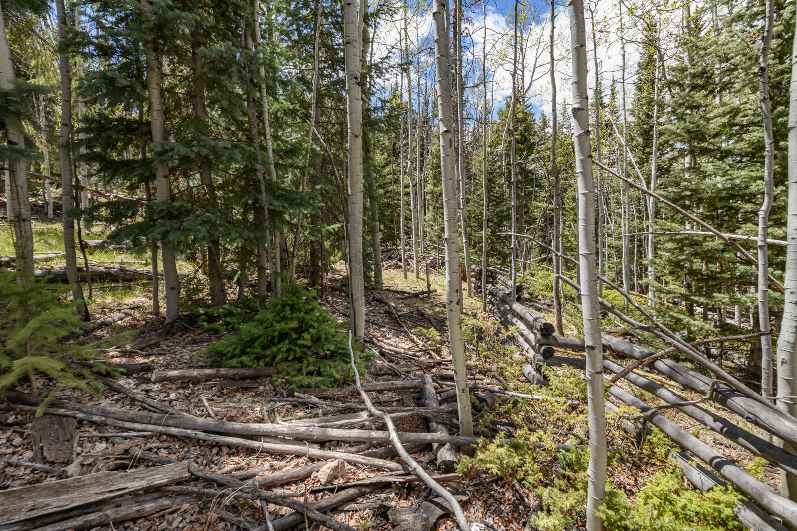 Fawn RD, #31, Panguitch Lake, photo 15 of 28