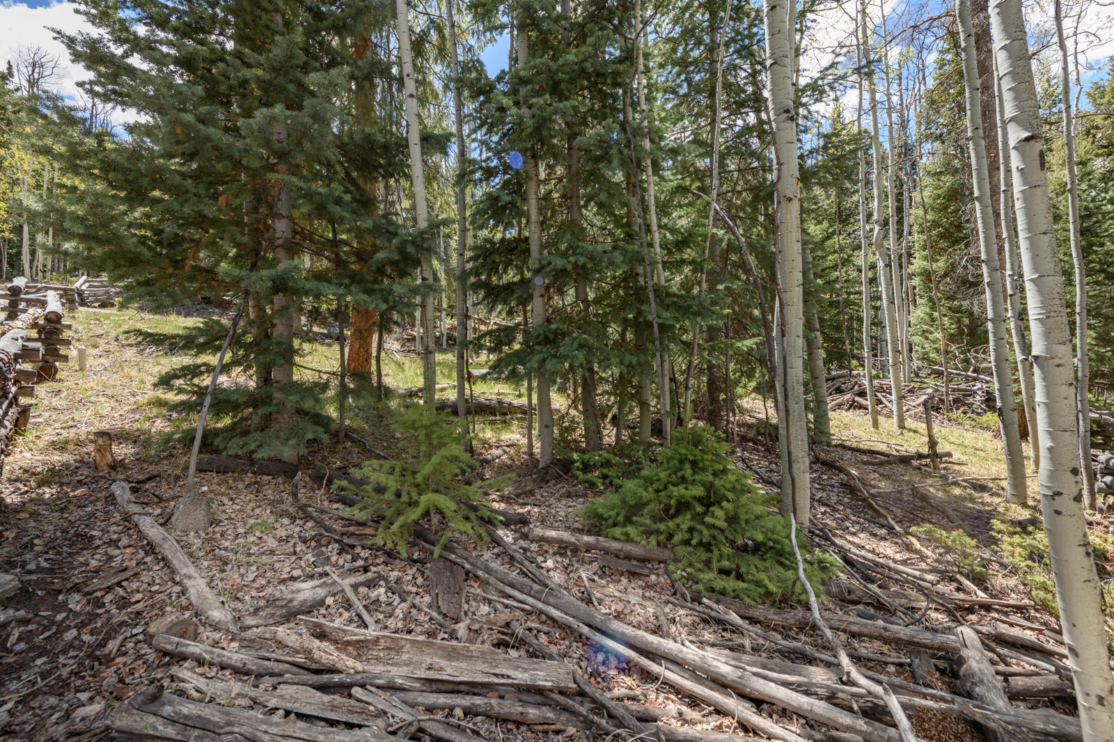 Fawn RD, #31, Panguitch Lake, photo 16 of 28