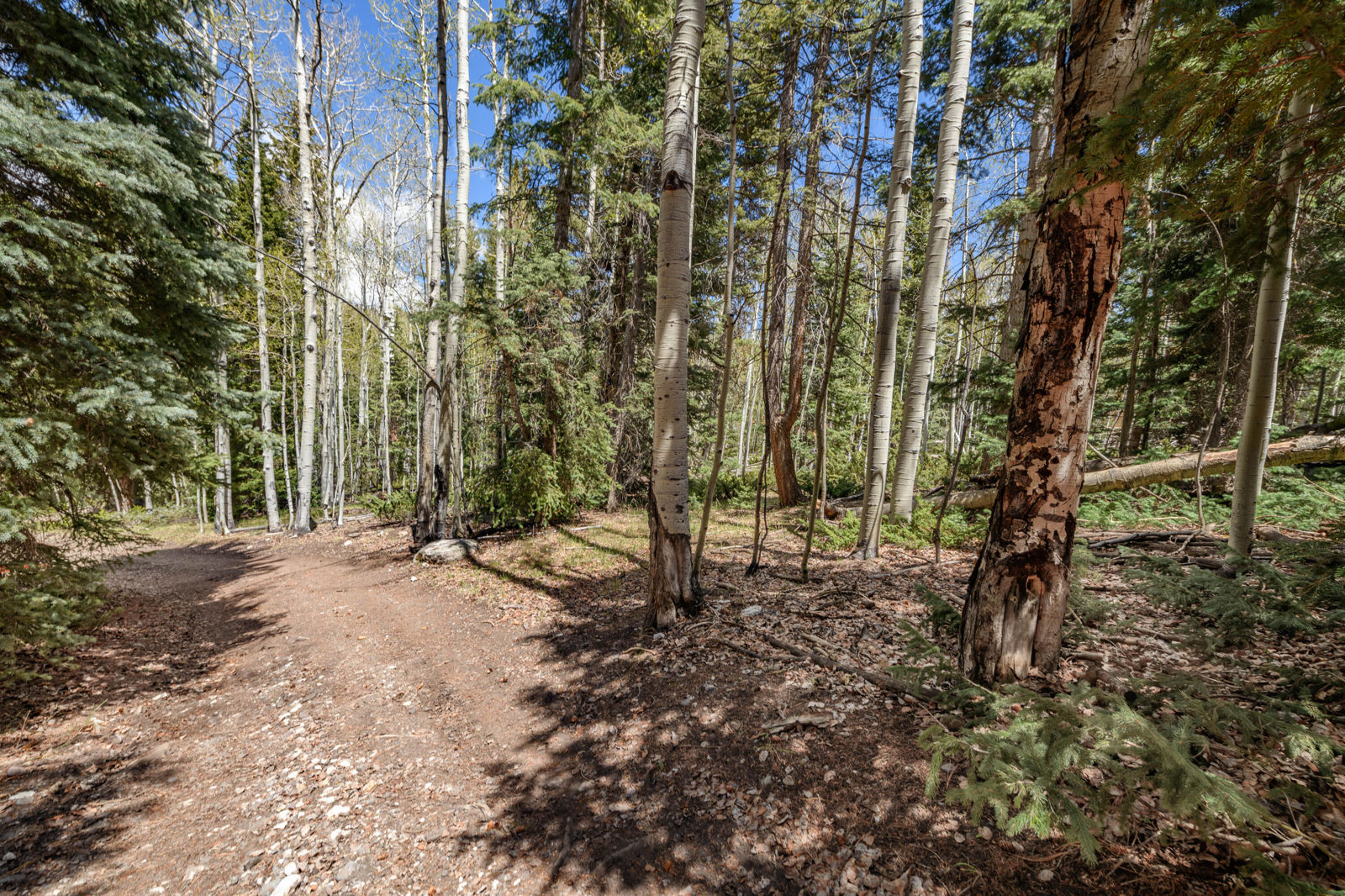 Fawn RD, #32, Panguitch, photo 4 of 31