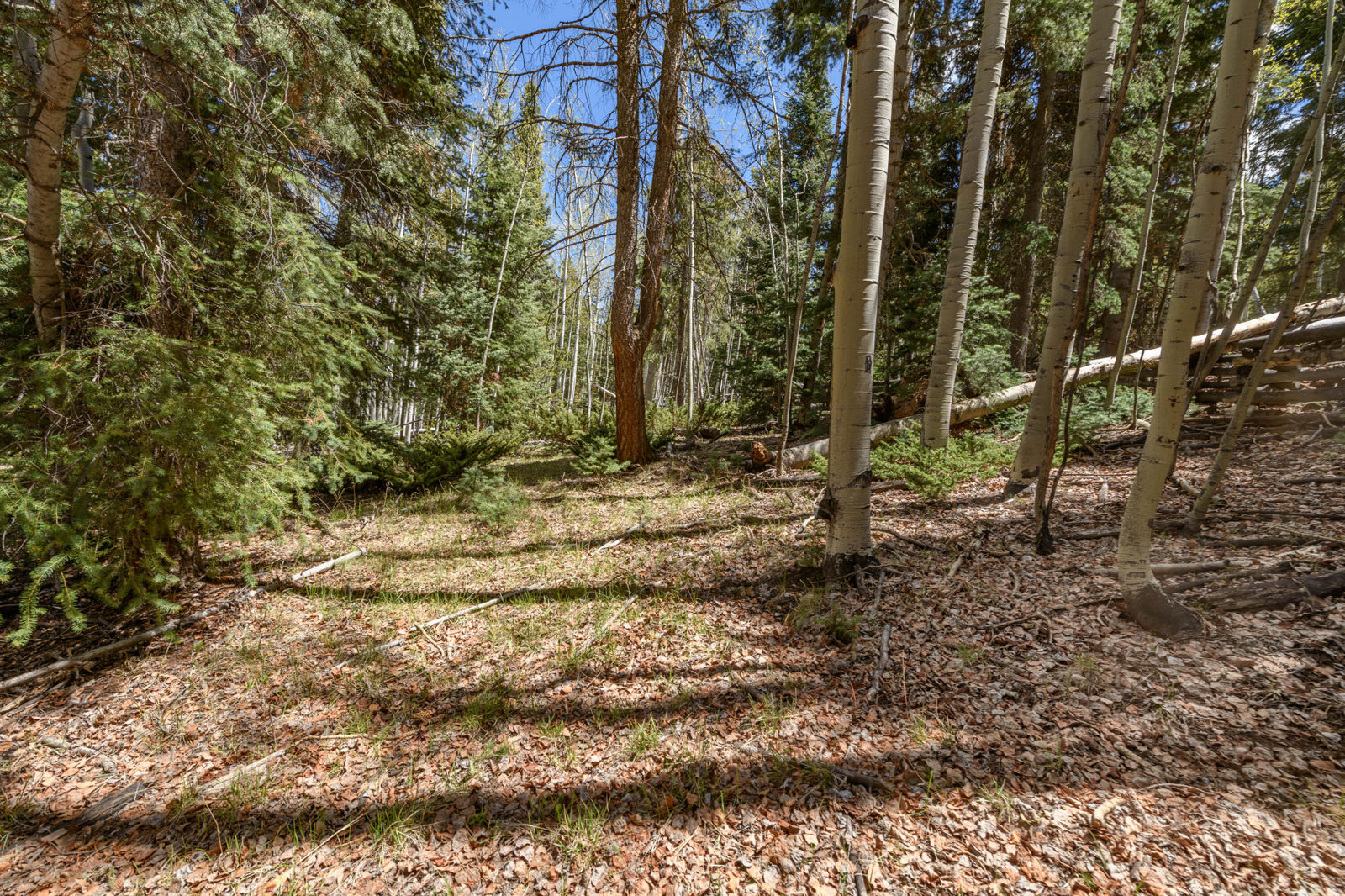 Fawn RD, #32, Panguitch, photo 5 of 31