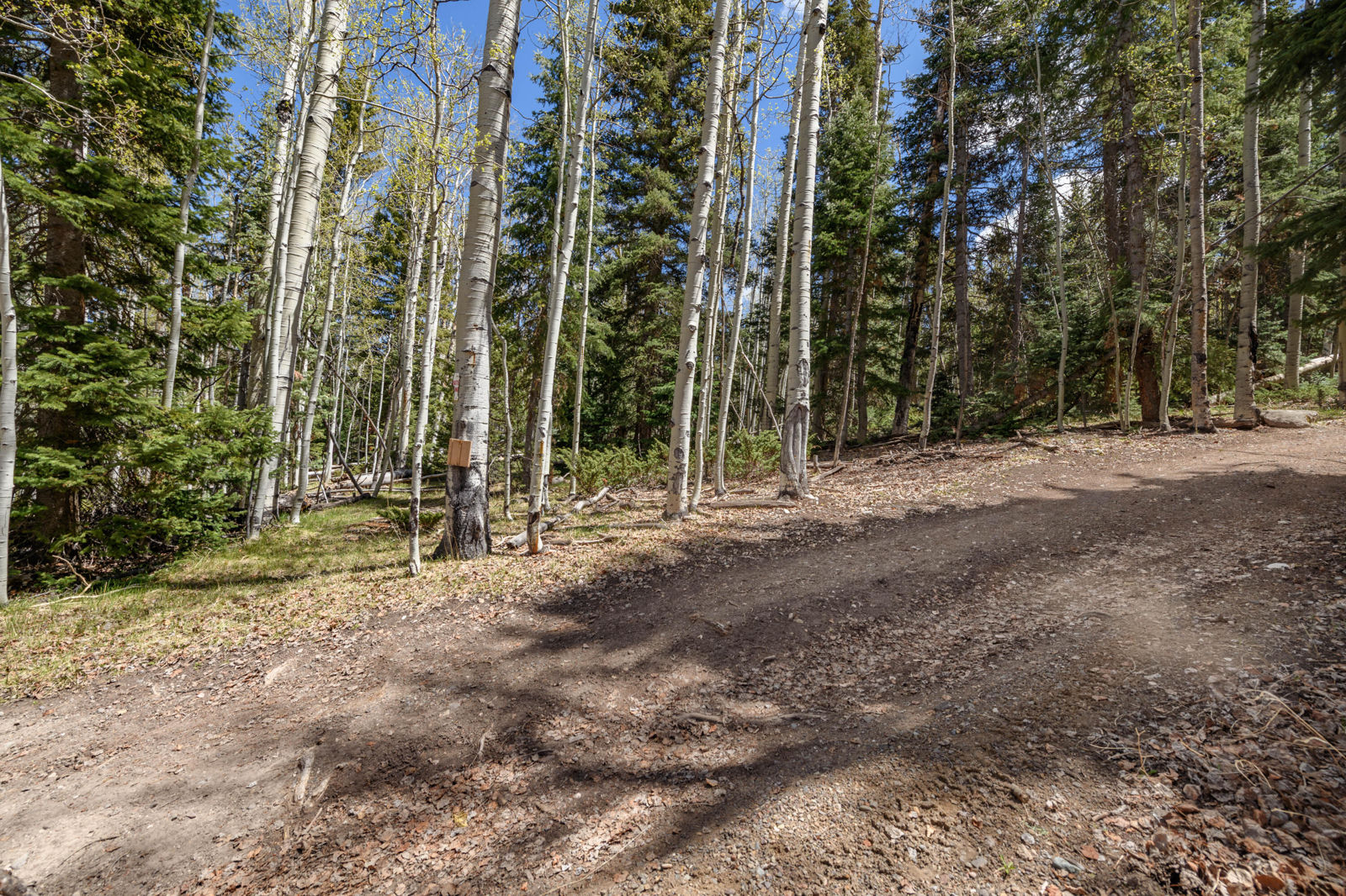 Fawn RD, #32, Panguitch, photo 6 of 31