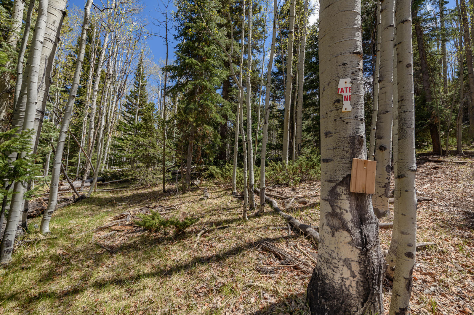 Fawn RD, #32, Panguitch, photo 8 of 31