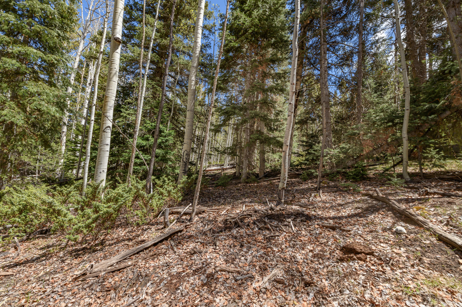 Fawn RD, #32, Panguitch, photo 9 of 31
