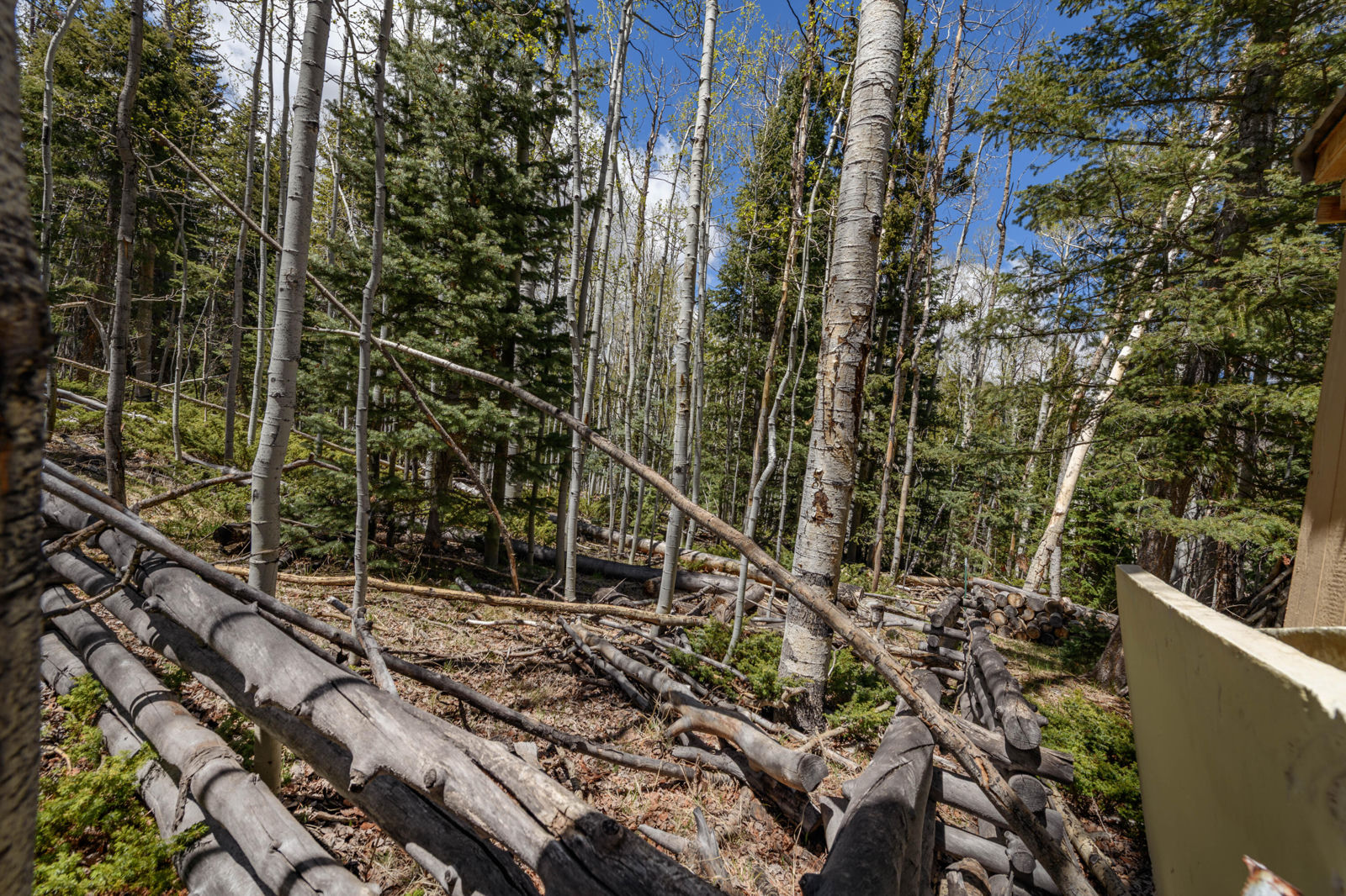 Fawn RD, #32, Panguitch, photo 10 of 31