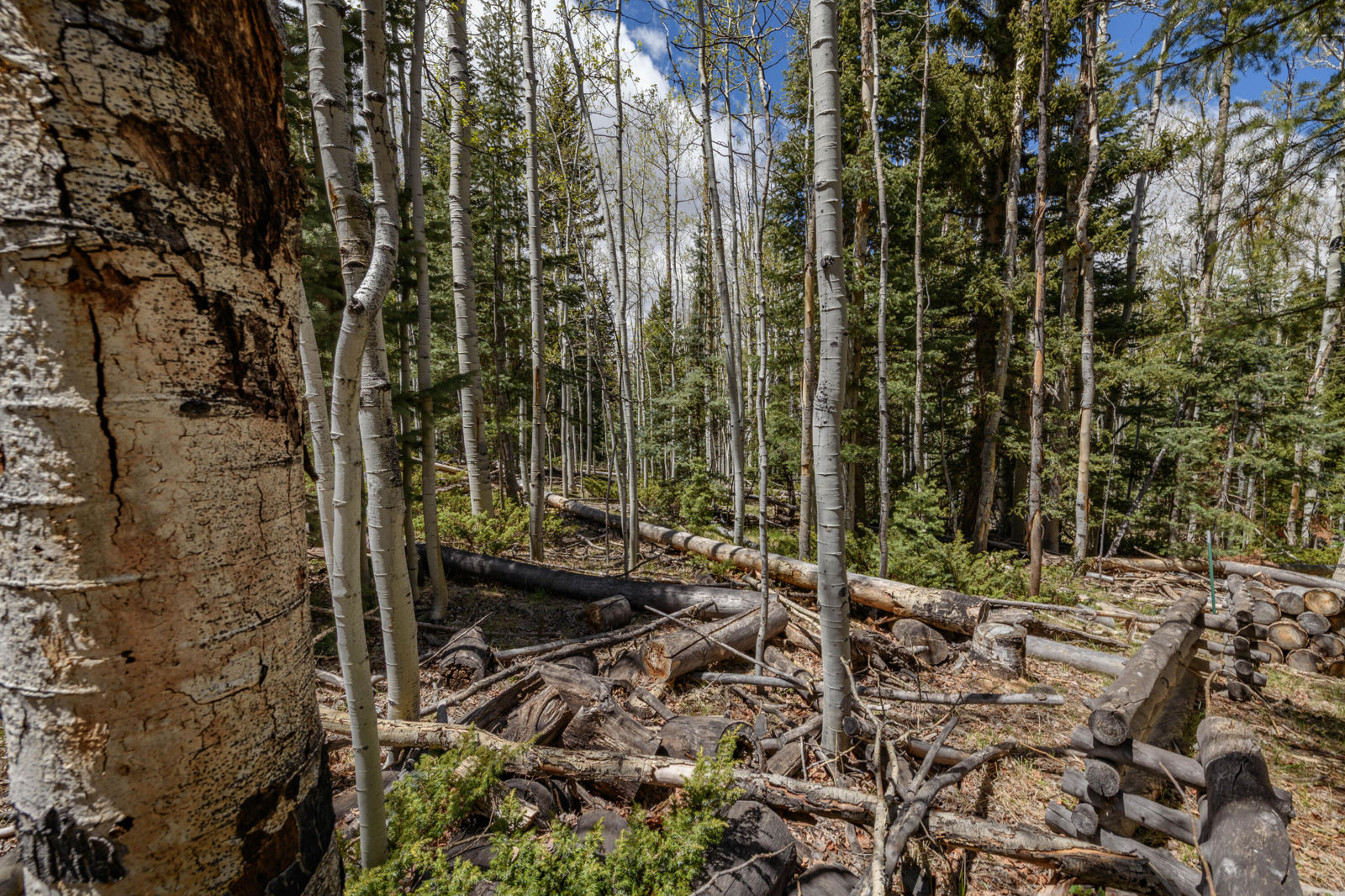 Fawn RD, #32, Panguitch, photo 11 of 31