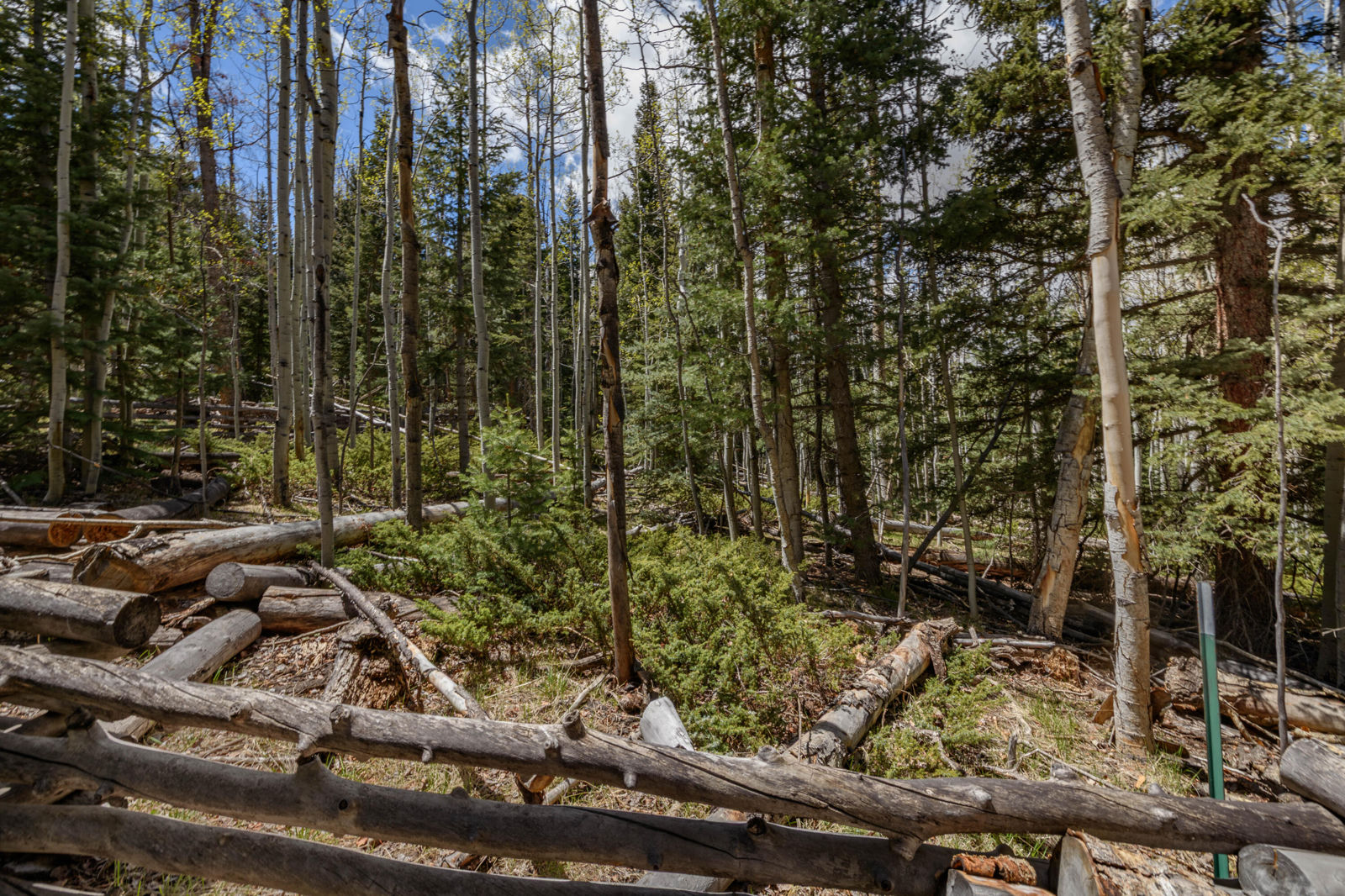 Fawn RD, #32, Panguitch, photo 12 of 31