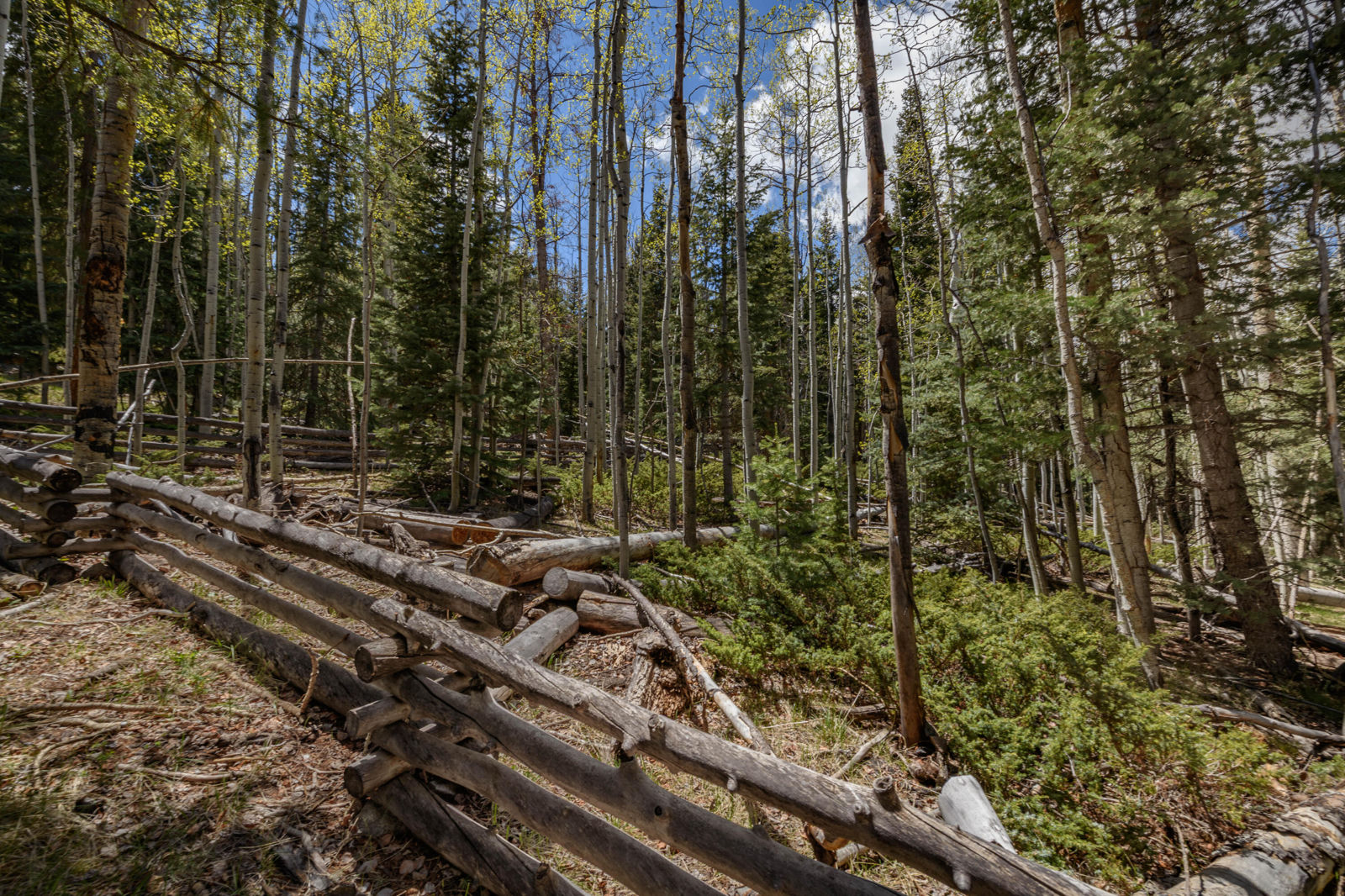 Fawn RD, #32, Panguitch, photo 13 of 31