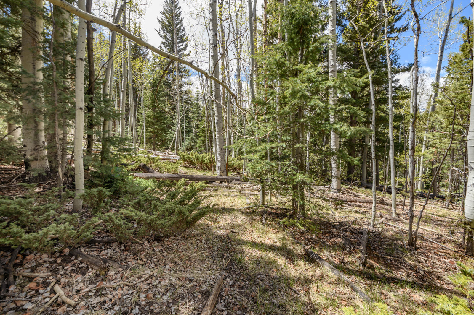 Fawn RD, #32, Panguitch, photo 14 of 31