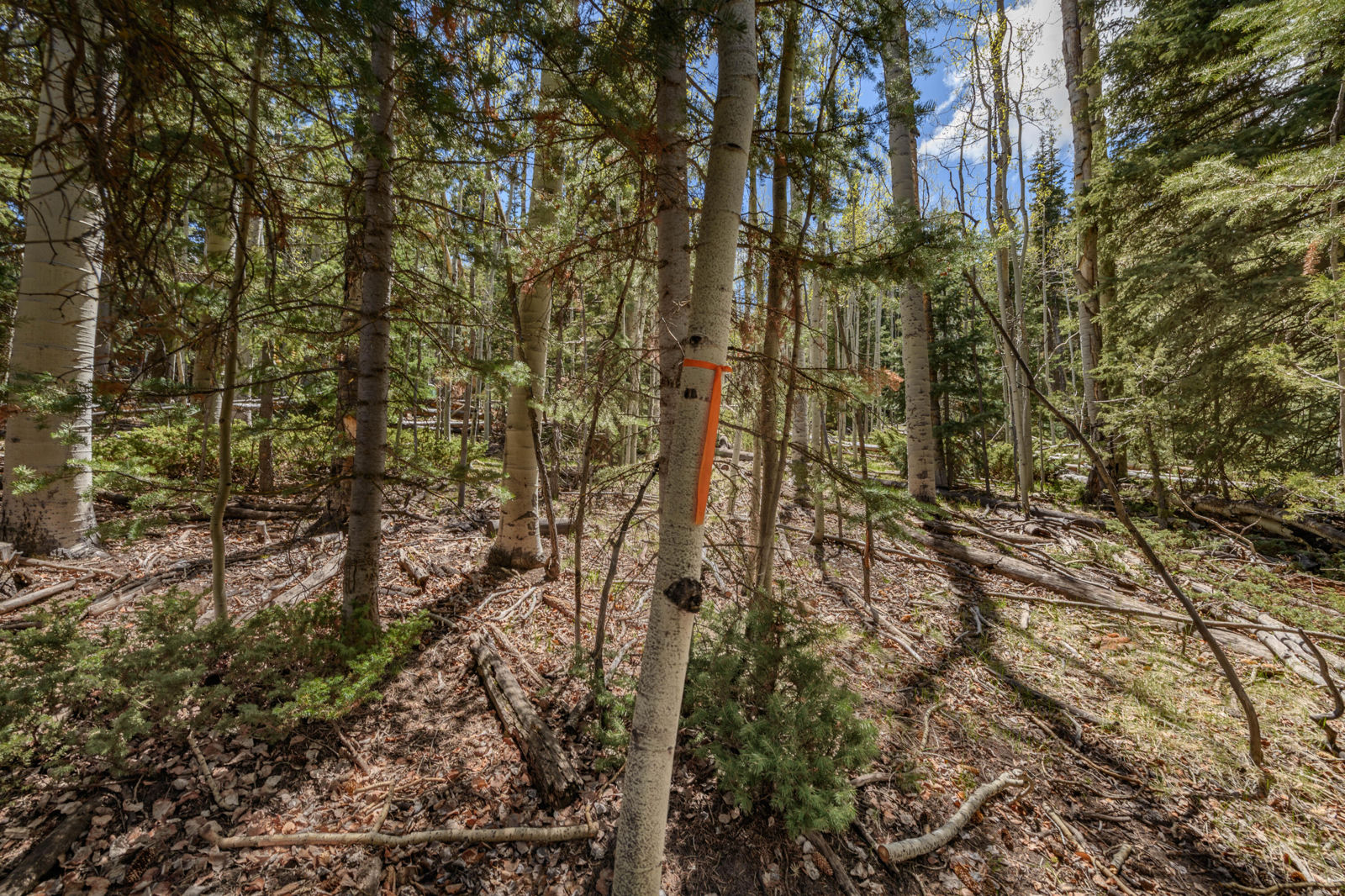 Fawn RD, #32, Panguitch, photo 15 of 31