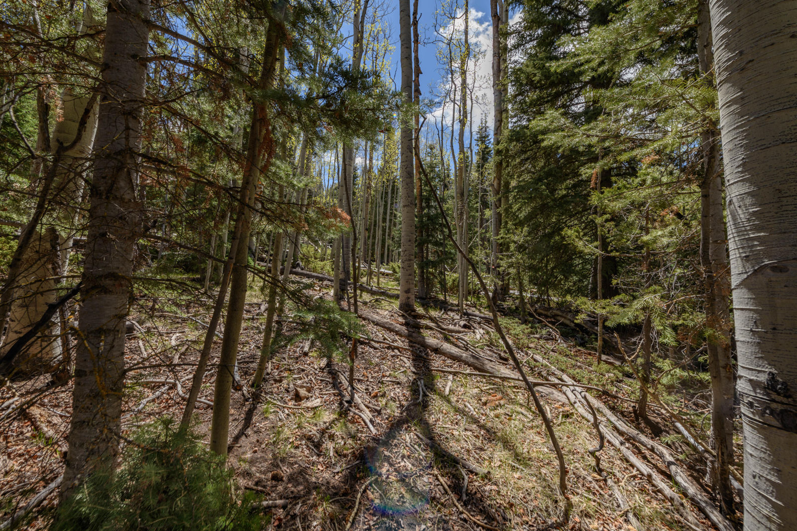 Fawn RD, #32, Panguitch, photo 16 of 31