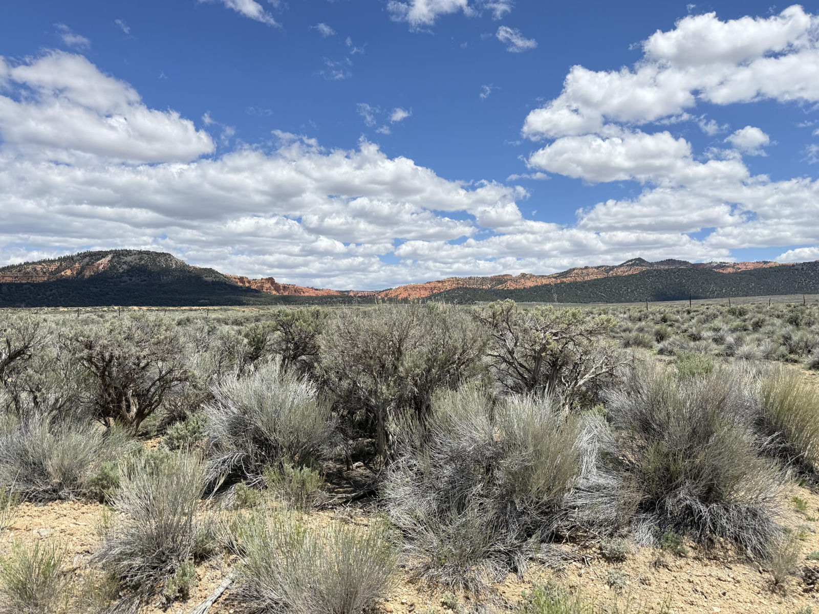 4369 S Scenic DR, Panguitch, photo 1