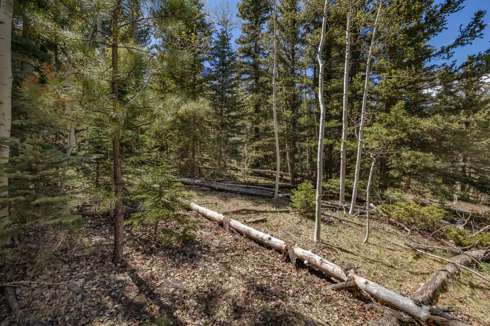 Spruce RD, #36, Panguitch Lake, photo 6 of 17