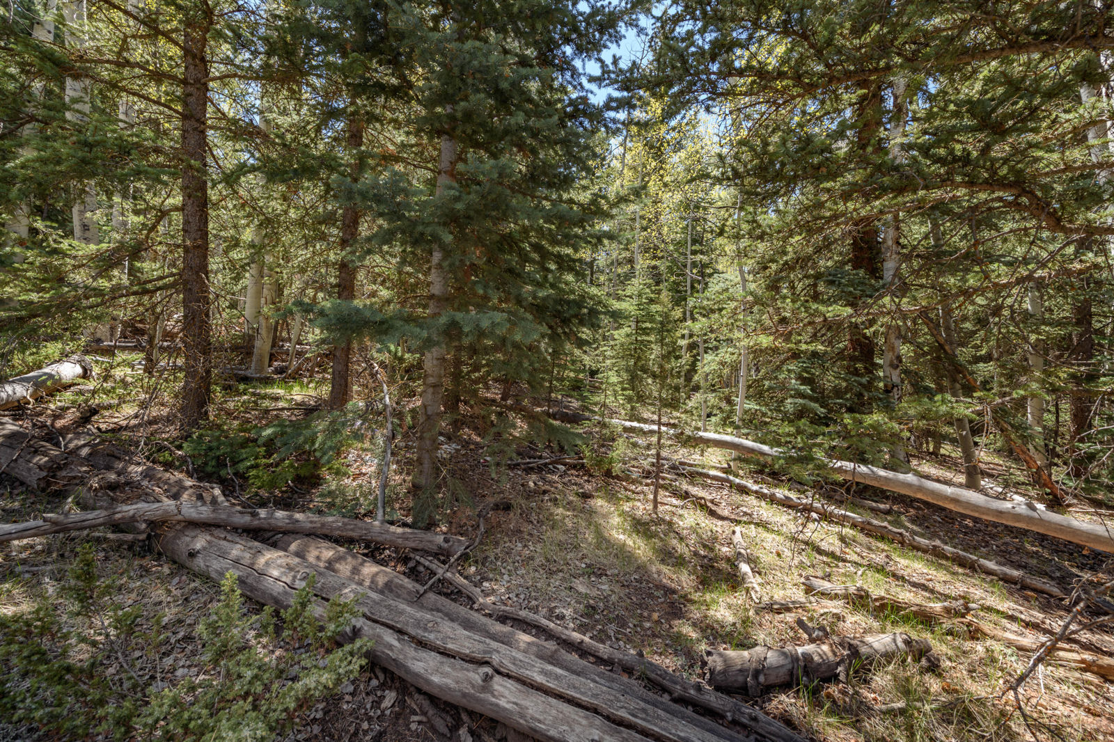 Spruce RD, #36, Panguitch Lake, photo 8 of 17