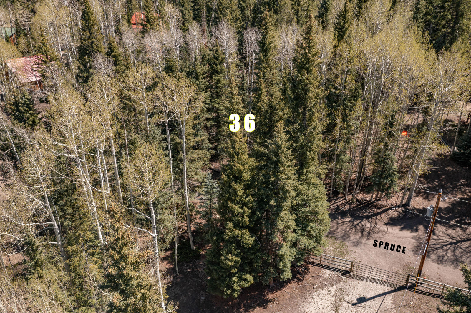 Spruce RD, #36, Panguitch Lake, photo 14 of 17