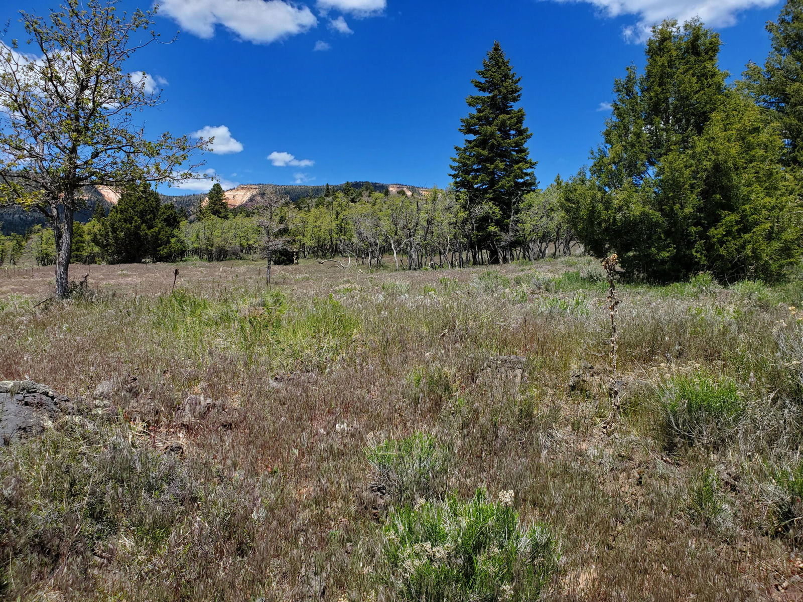 146 &147 W N Cottonwood Cir N, Duck Creek Village, photo 10 of 16