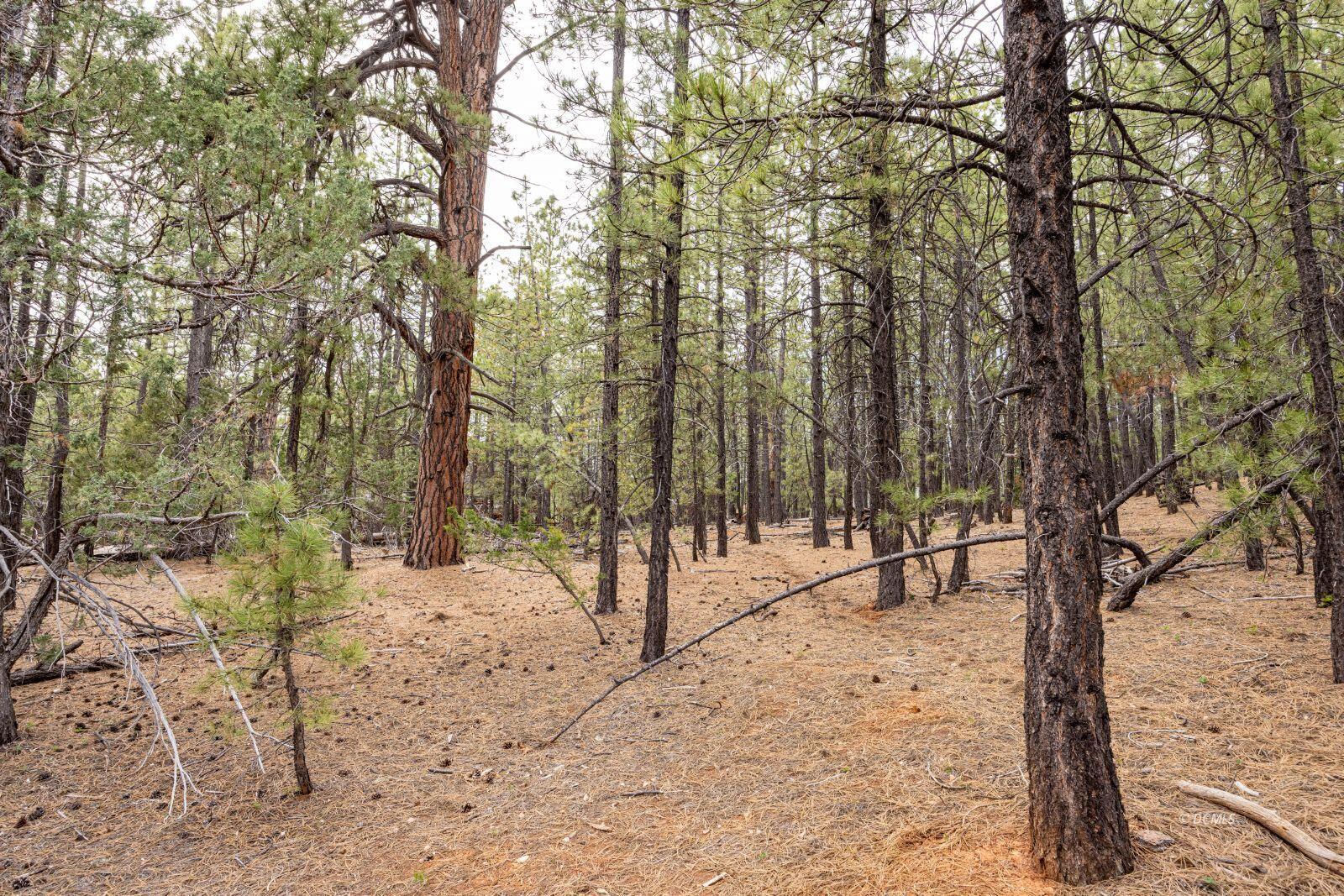 3220 E Piute DR, Duck Creek Village, photo 1
