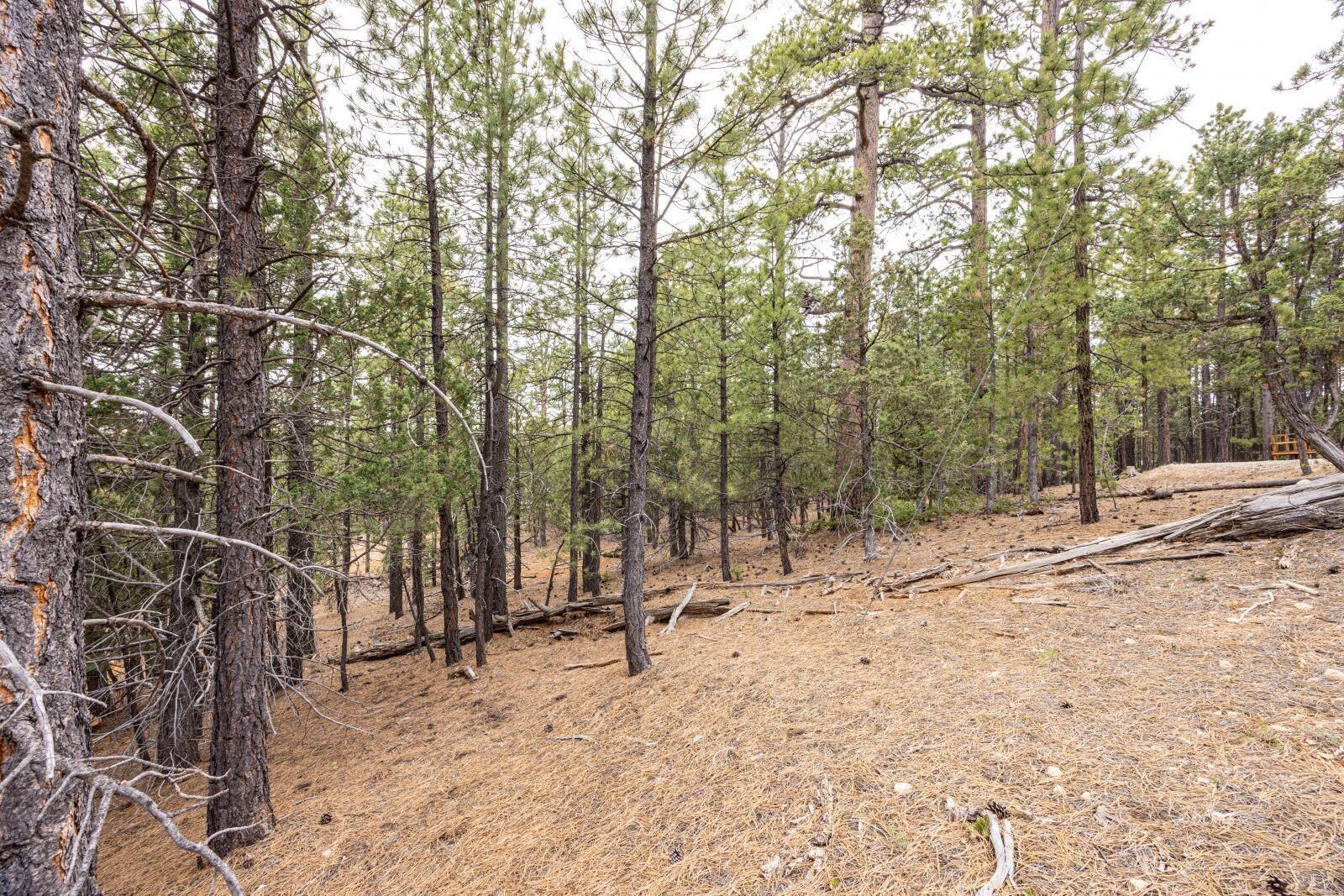 3220 E Piute DR, Duck Creek Village, photo 5 of 9