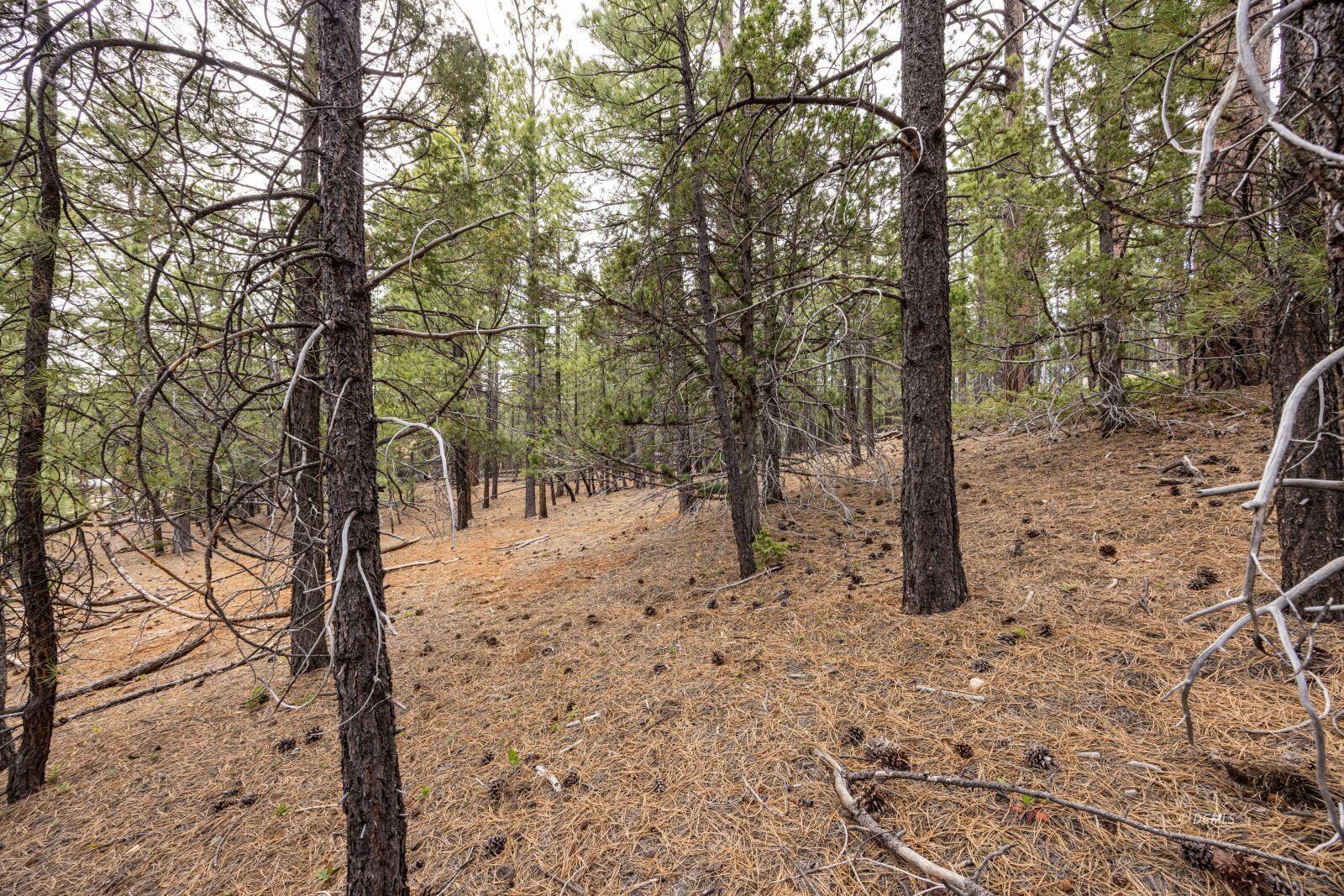 3220 E Piute DR, Duck Creek Village, photo 6 of 9