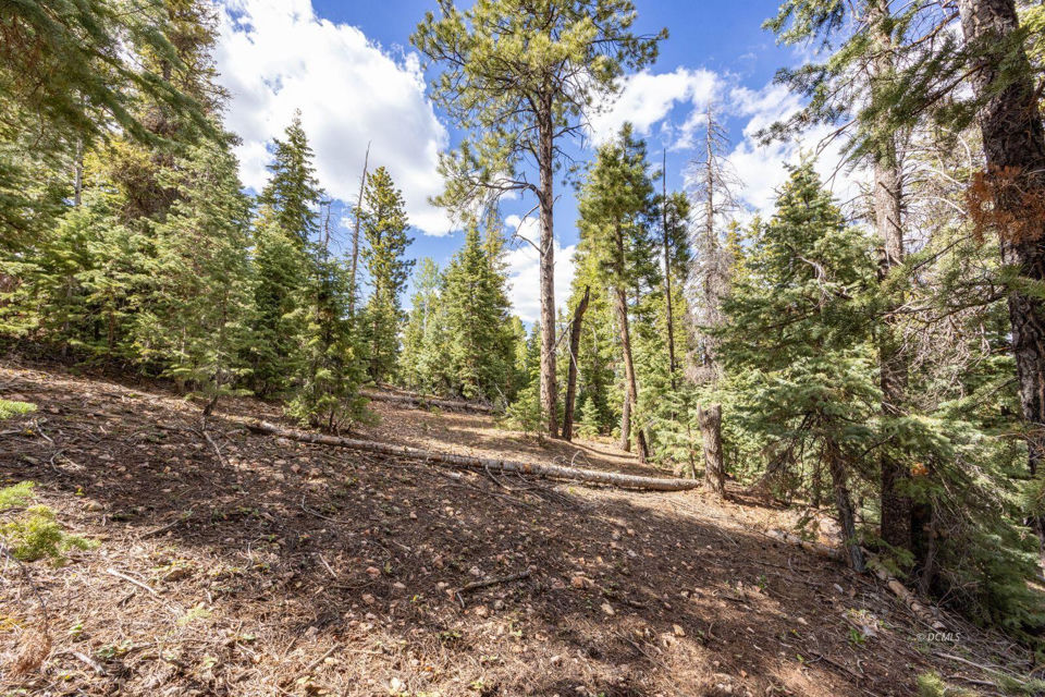 955 Bonanza RD, Duck Creek Village