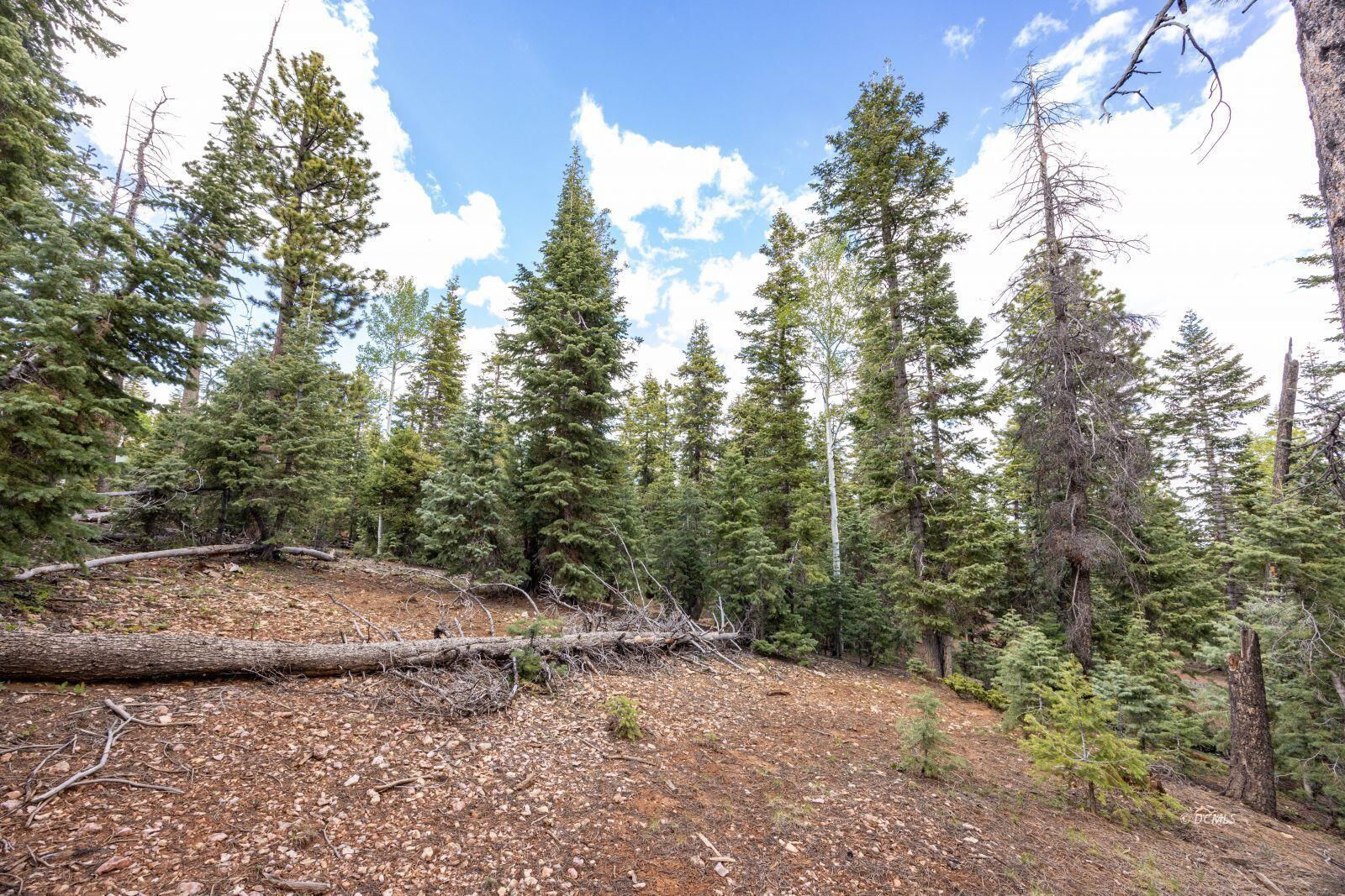 955 Bonanza RD, Duck Creek Village, photo 3 of 12