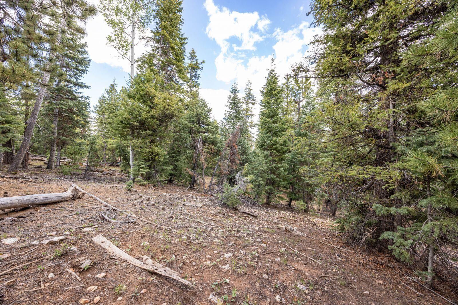 955 Bonanza RD, Duck Creek Village, photo 4 of 12