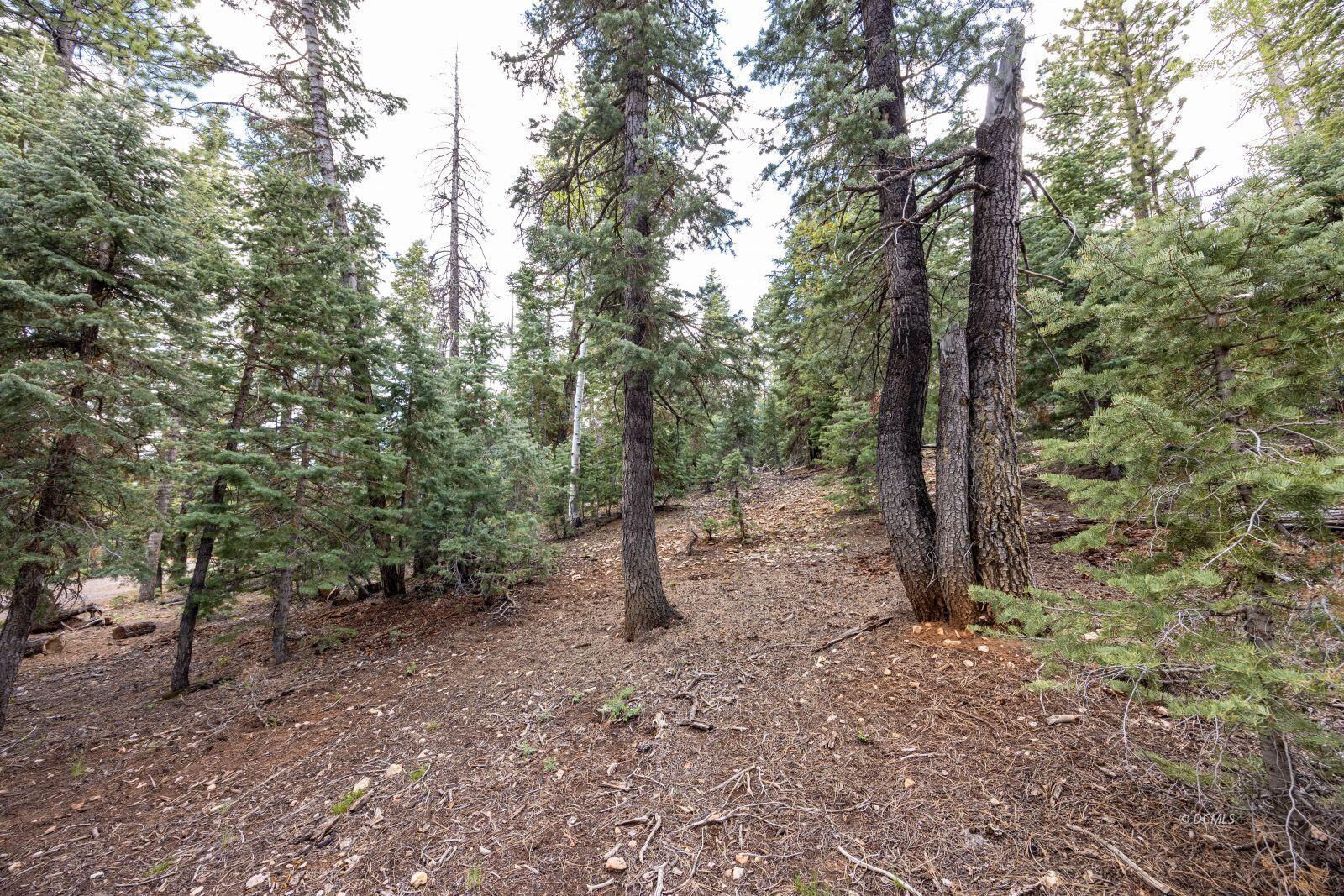 955 Bonanza RD, Duck Creek Village, photo 5 of 12
