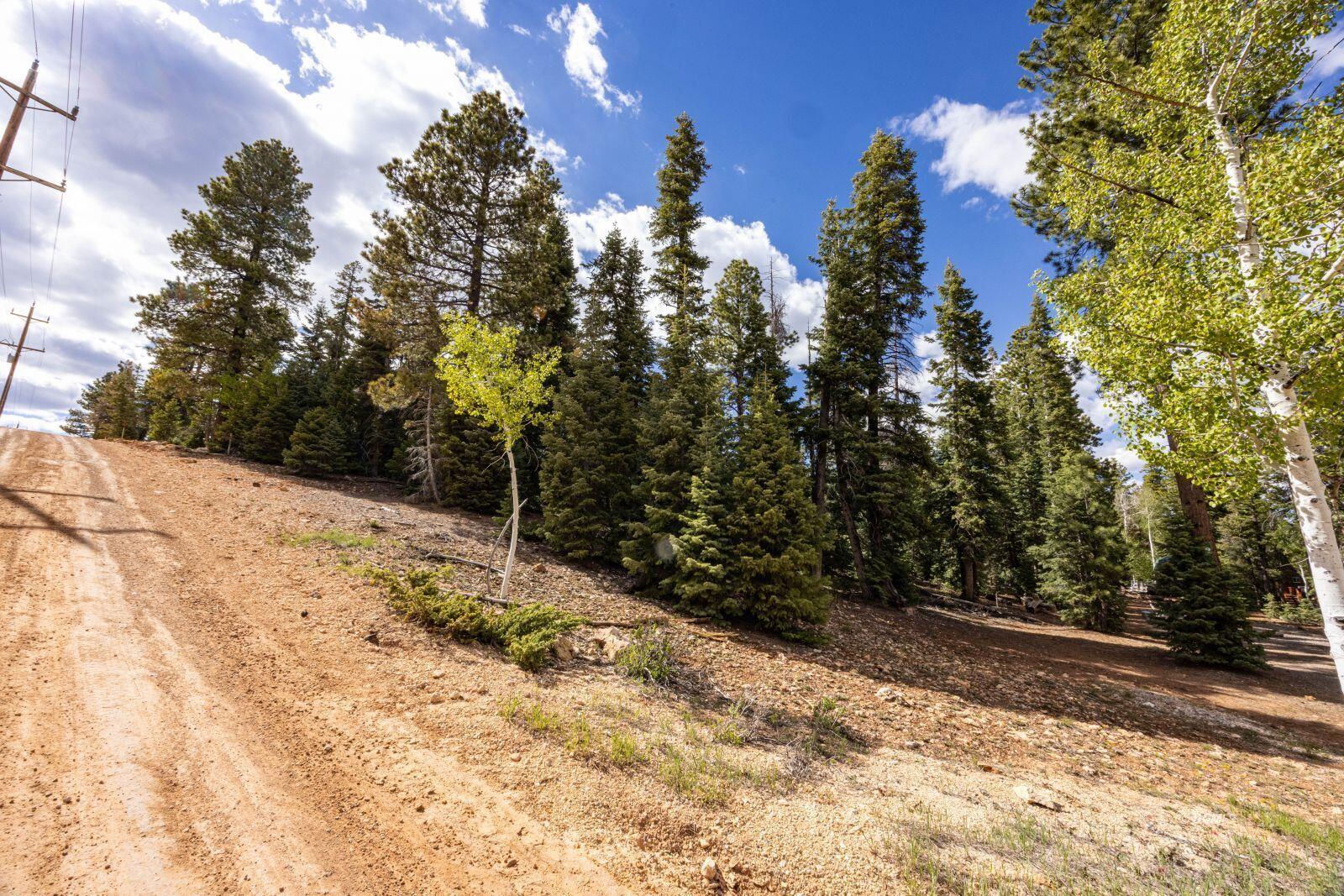 955 Bonanza RD, Duck Creek Village, photo 6 of 12
