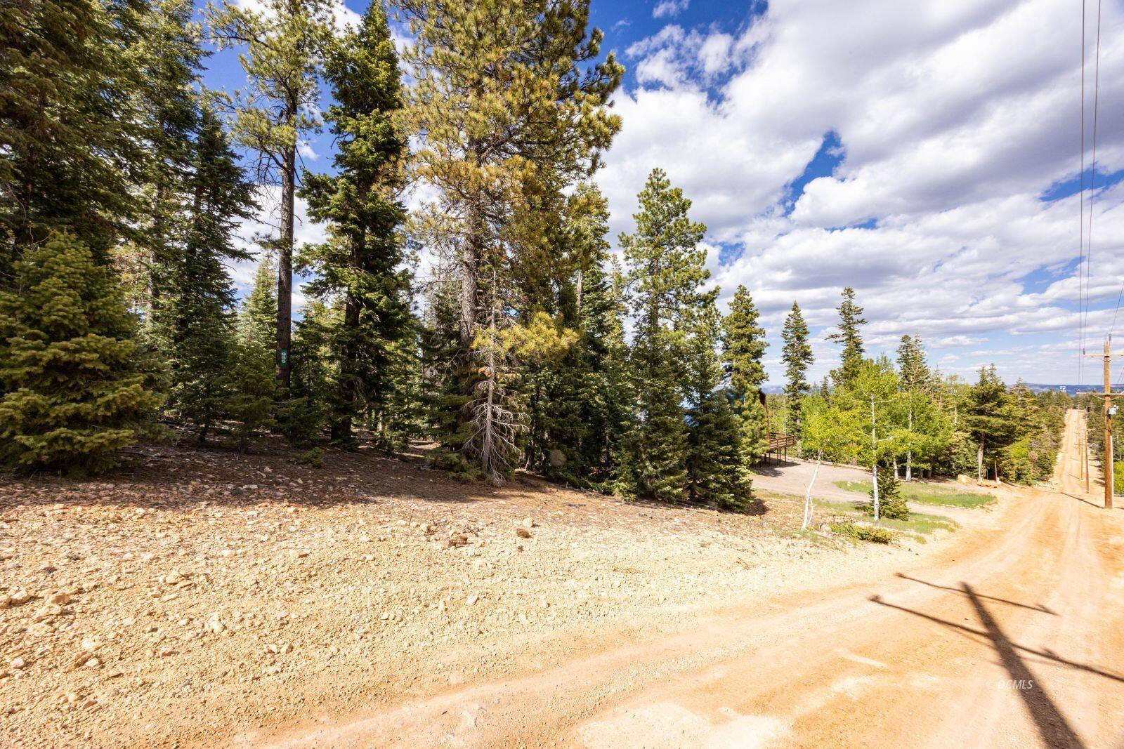 955 Bonanza RD, Duck Creek Village, photo 7 of 12