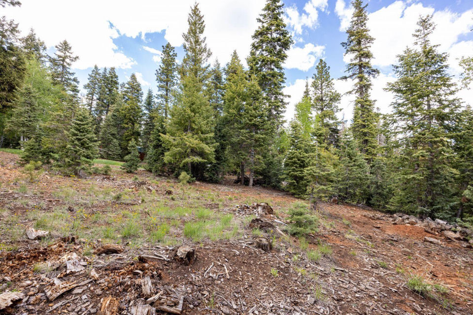 985 Bonanza RD, Duck Creek Village