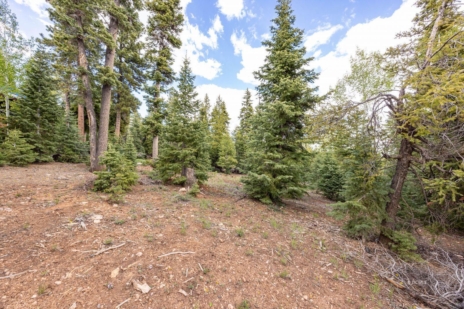 985 Bonanza RD, Duck Creek Village, photo 2 of 12