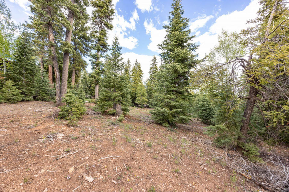 985 Bonanza RD, Duck Creek Village, photo 2