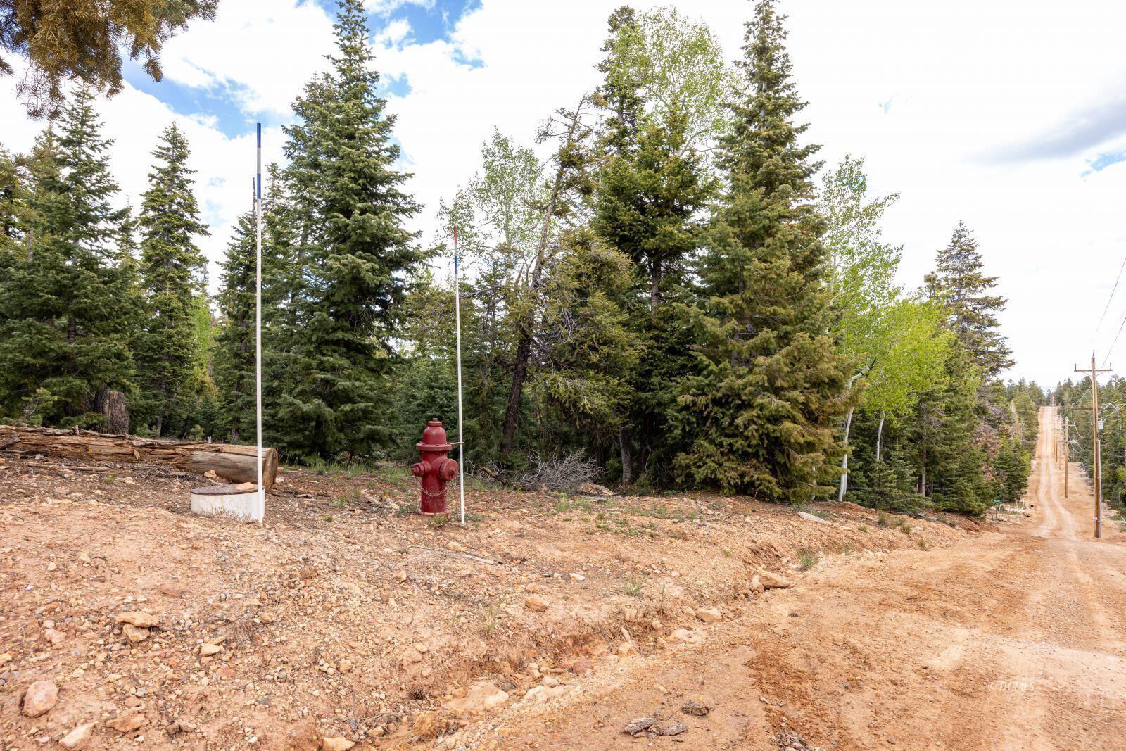 985 Bonanza RD, Duck Creek Village, photo 4 of 12