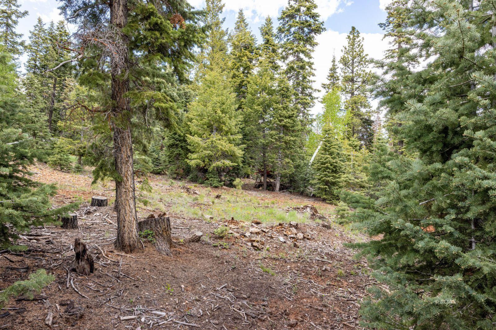 985 Bonanza RD, Duck Creek Village, photo 5 of 12