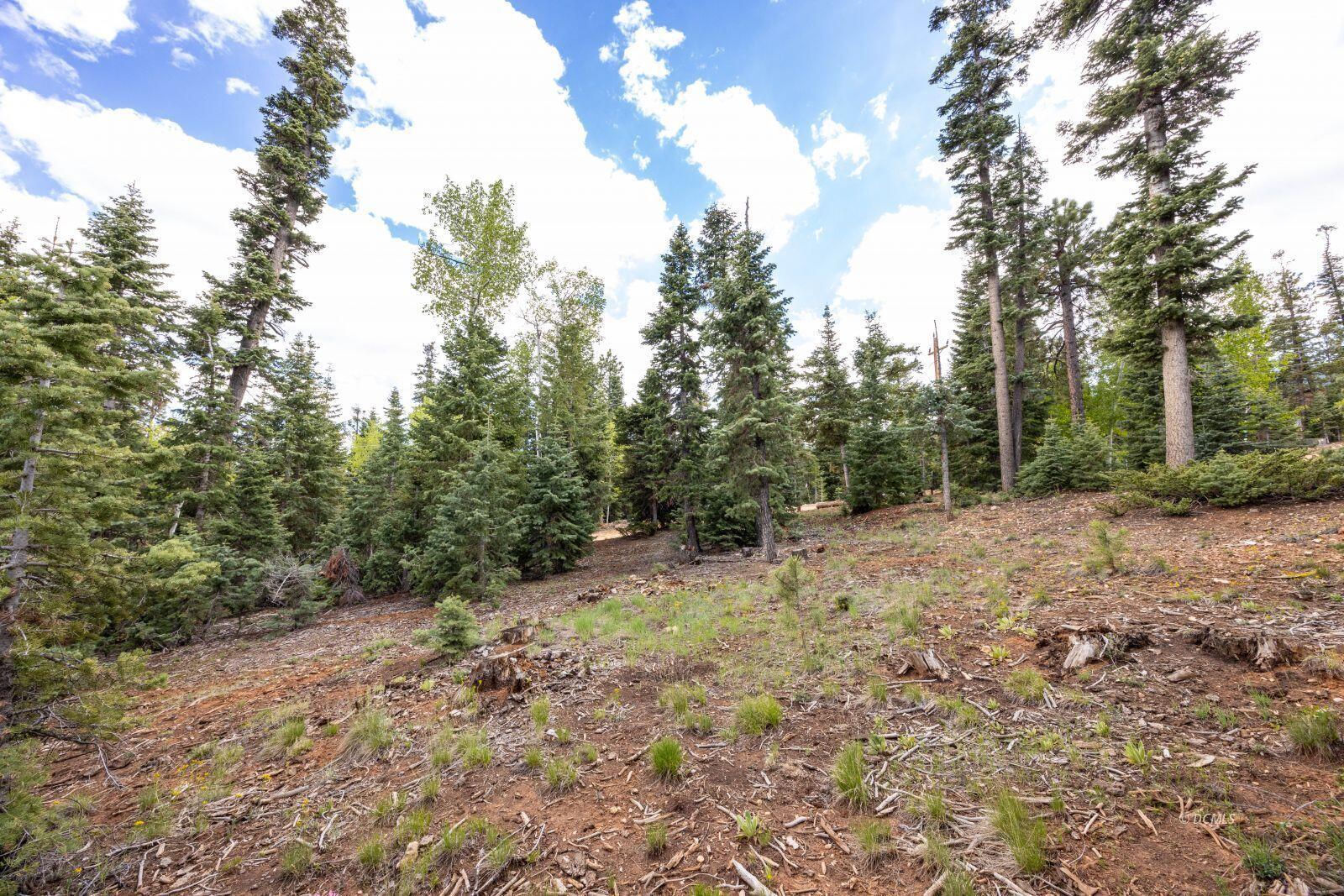 985 Bonanza RD, Duck Creek Village, photo 6 of 12