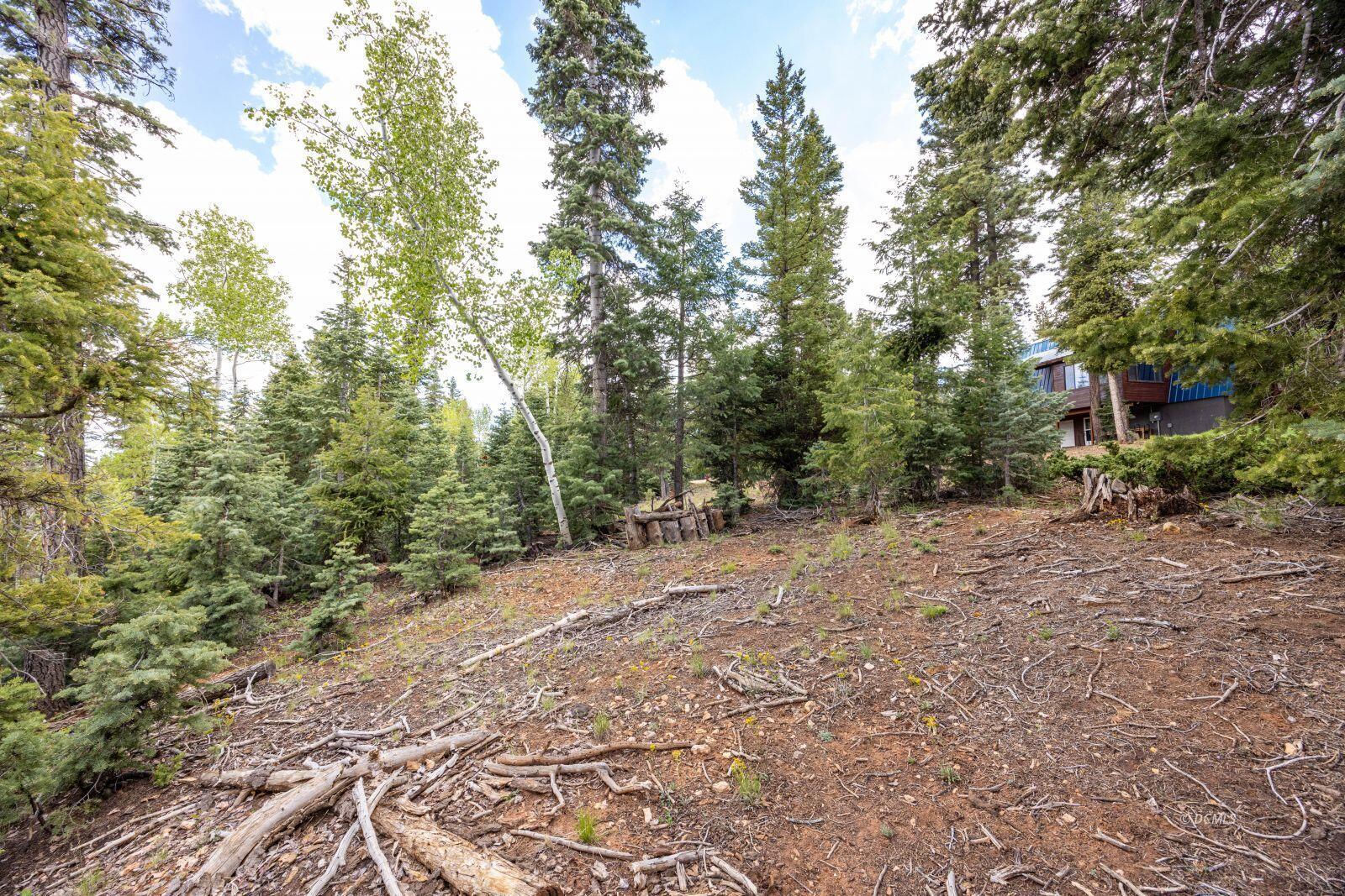 985 Bonanza RD, Duck Creek Village, photo 7 of 12