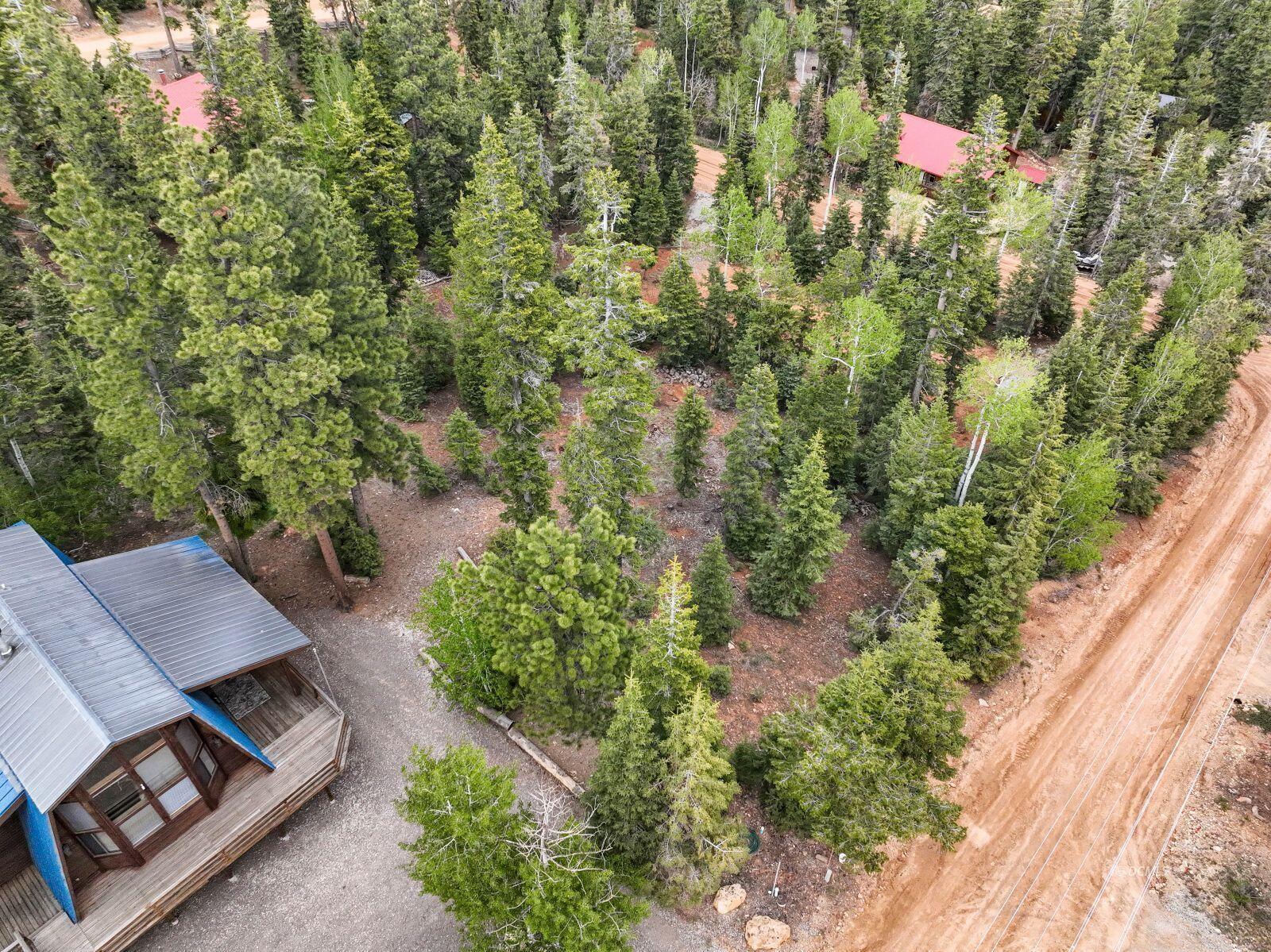 985 Bonanza RD, Duck Creek Village, photo 8 of 12