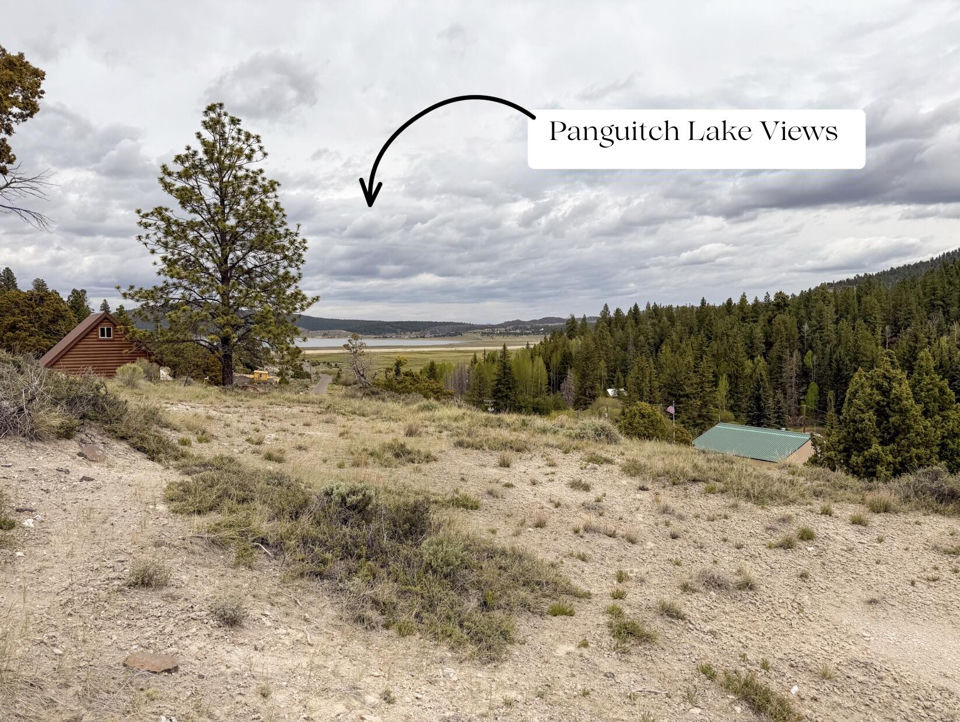 Lot 69 Forest Garden, Panguitch, photo 2
