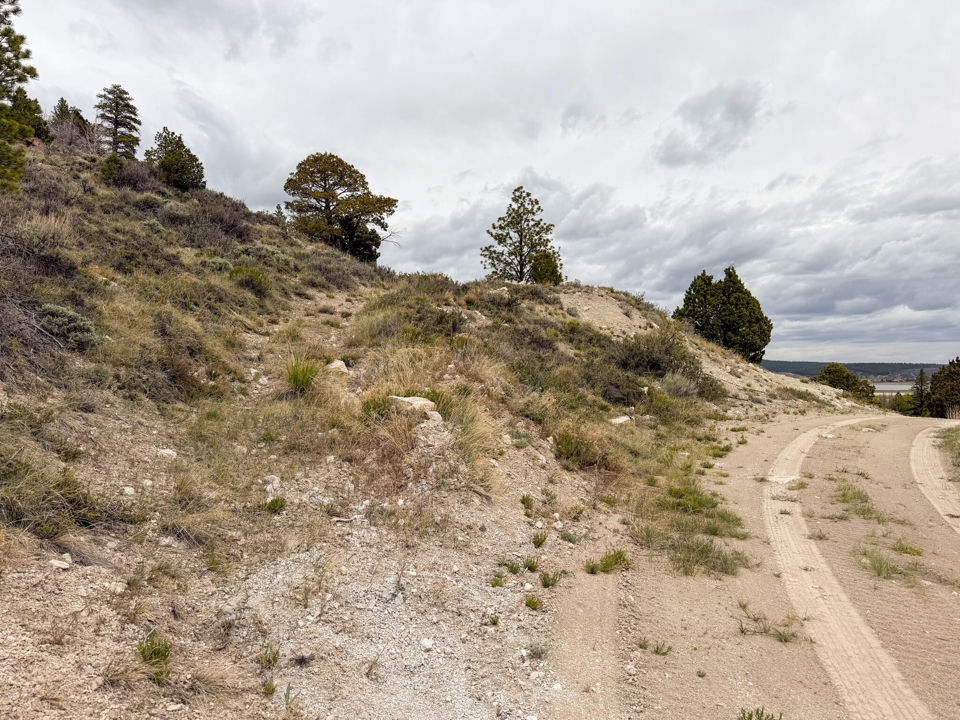 Lot 69 Forest Garden, Panguitch, photo 3