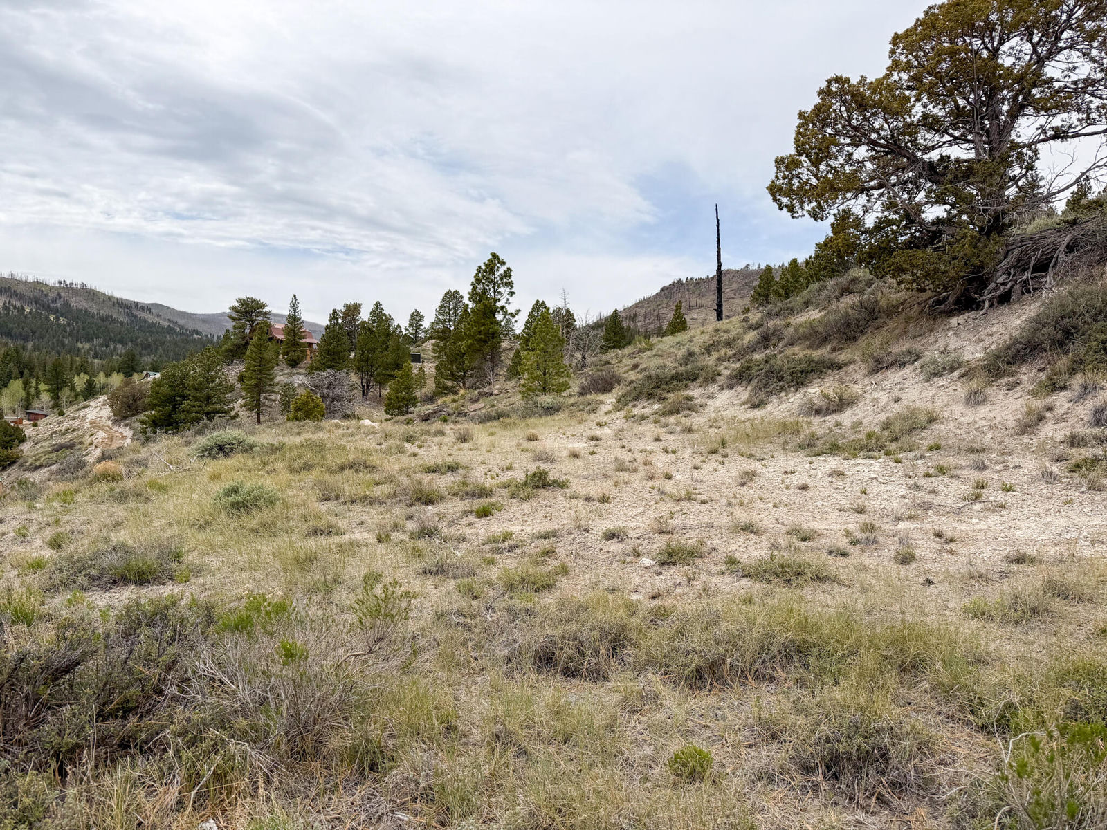 Lot 69 Forest Garden, Panguitch, photo 10 of 21
